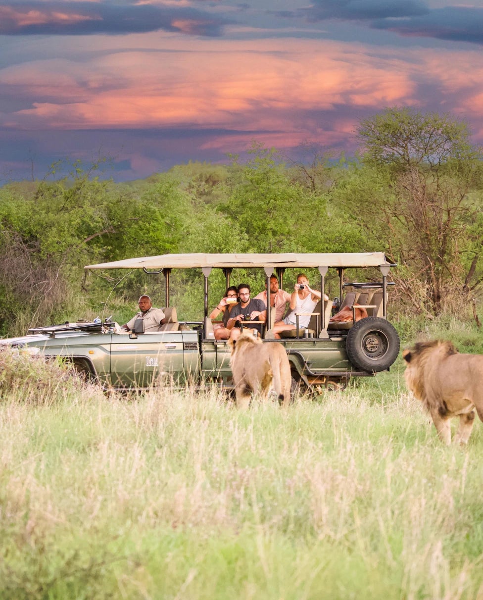 Site Visit: &BEYOND Ngala Tented Camp South Africa