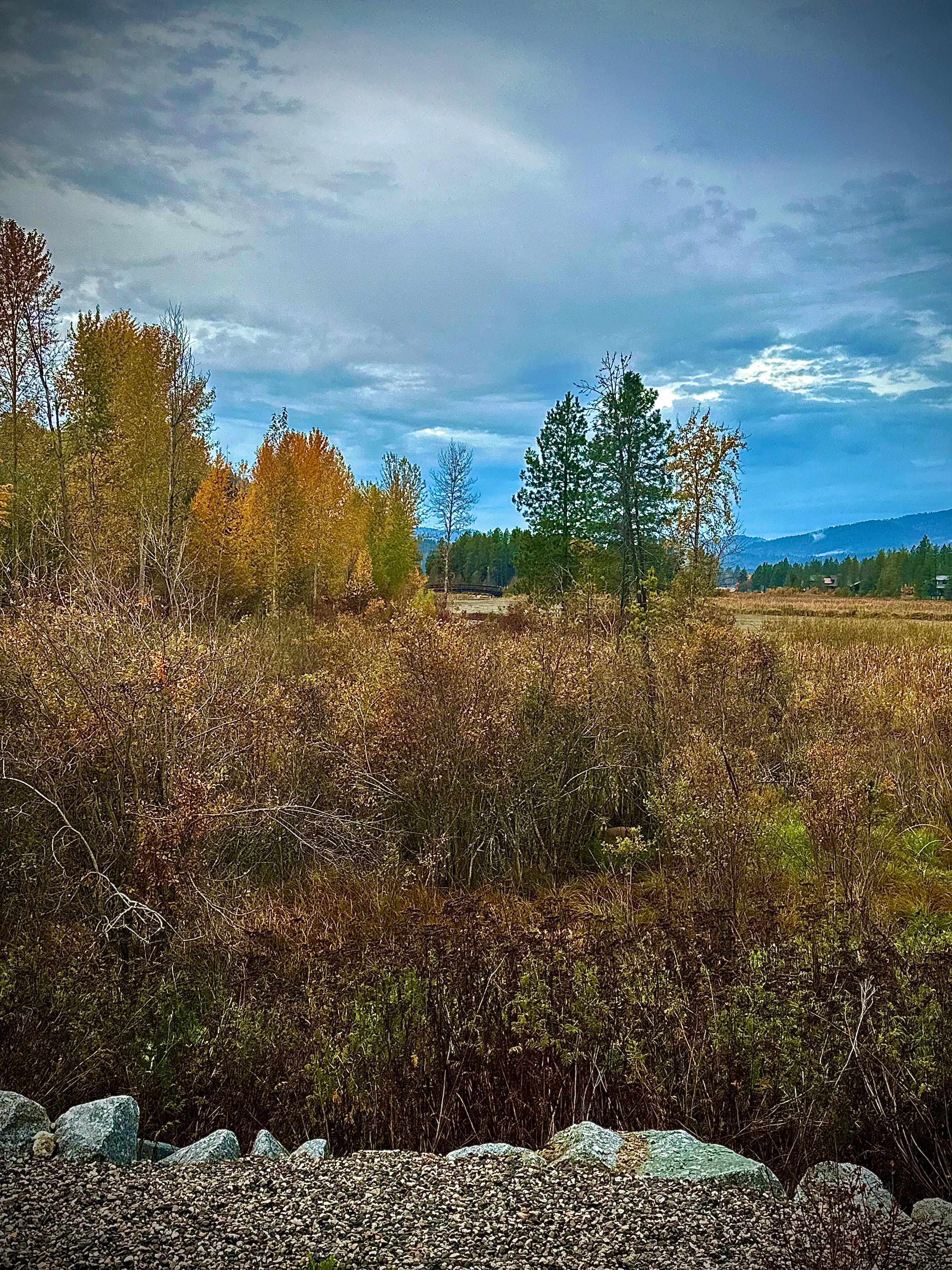 Beautiful autumn view of the fields