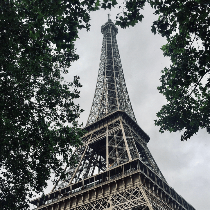 Eiffel tower sneaking through trees