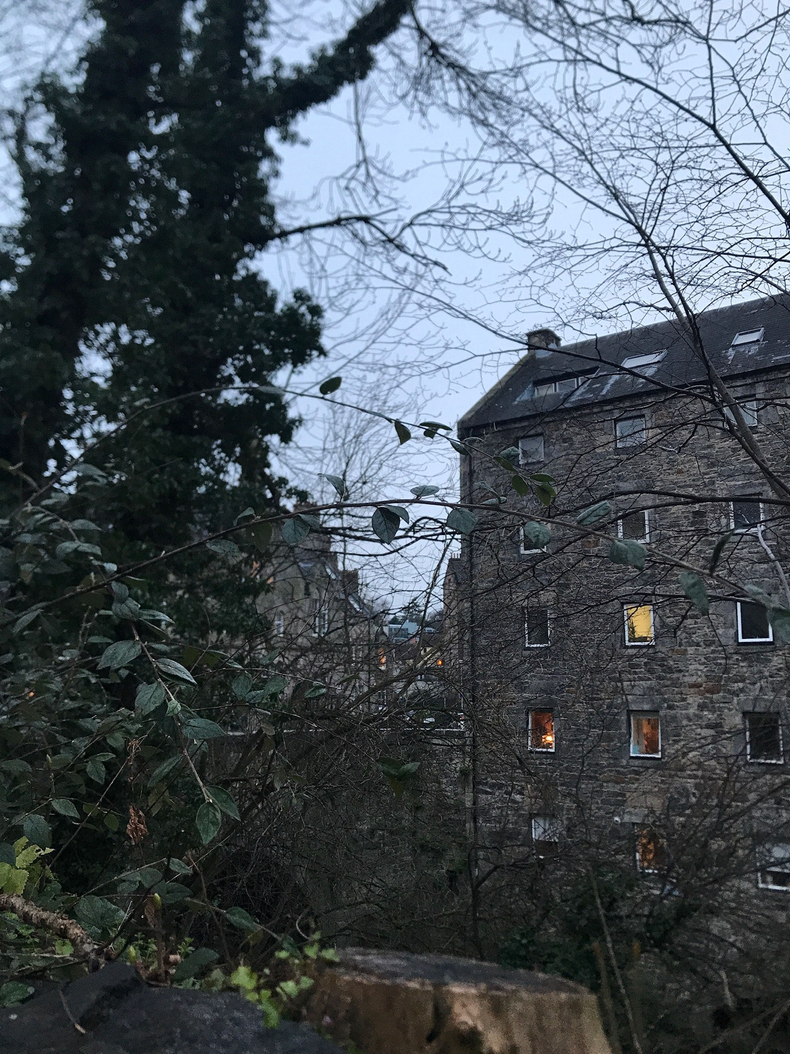 house and trees