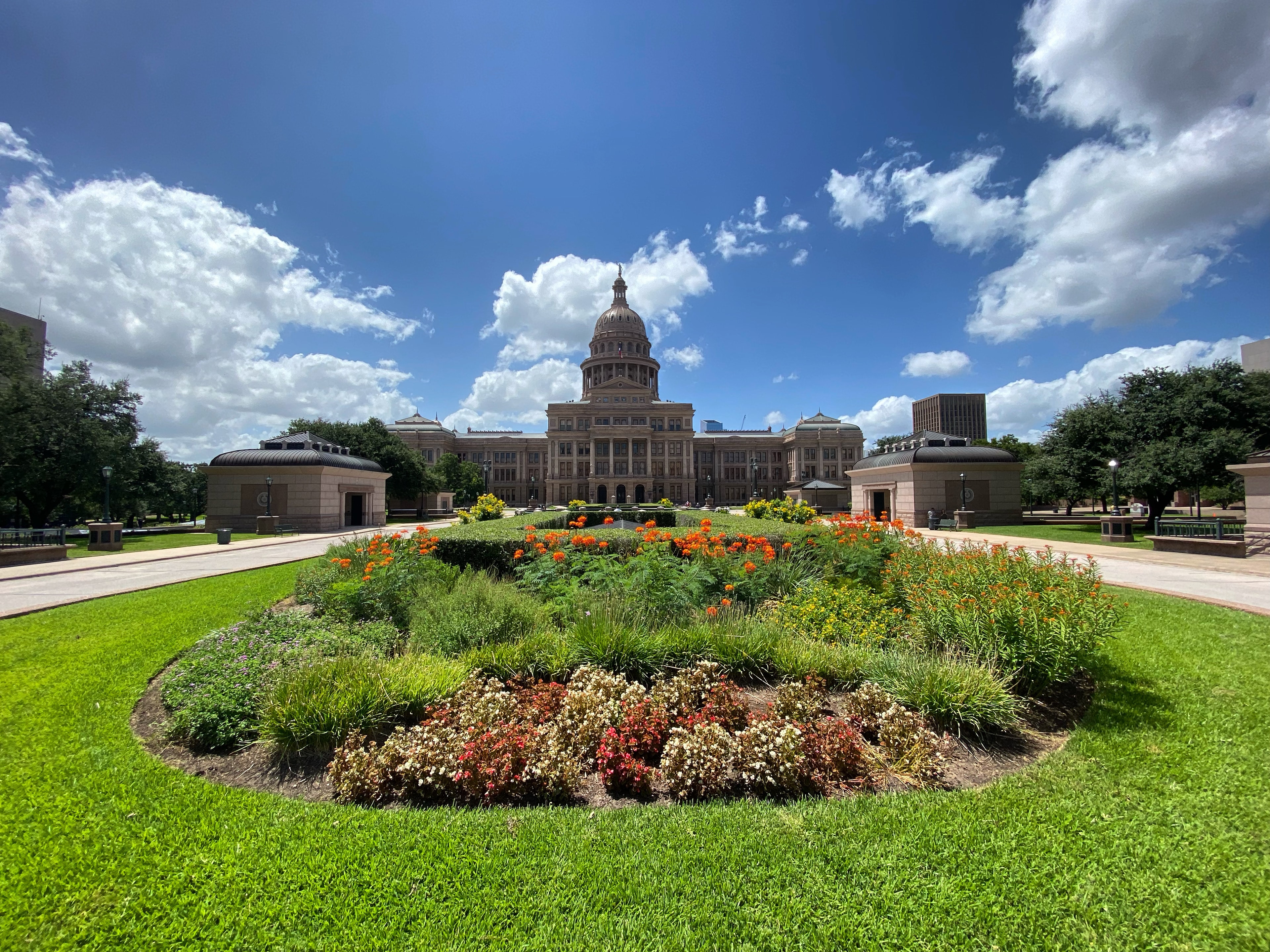 A spectacular view of a garden