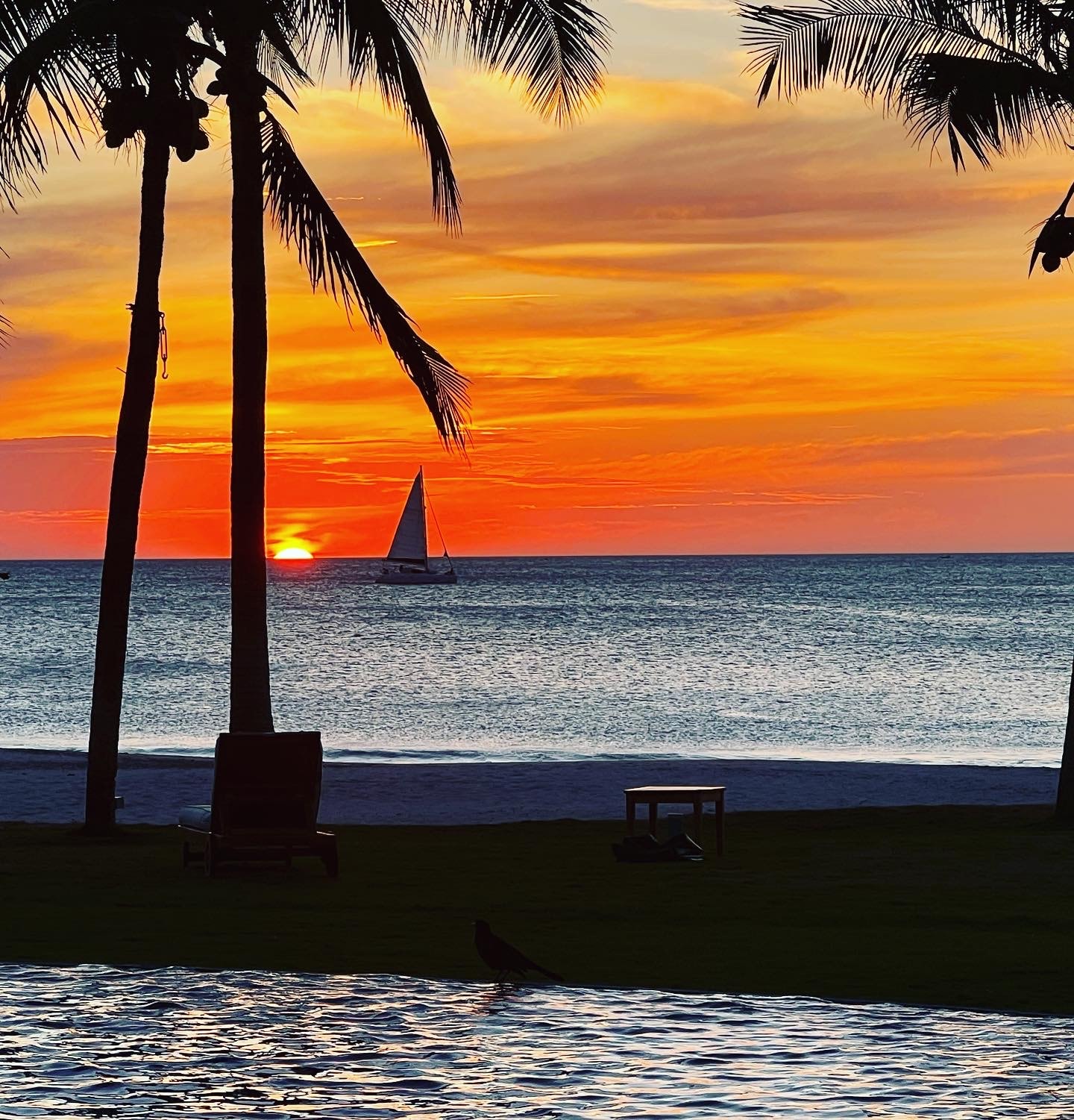 sunset view near beach