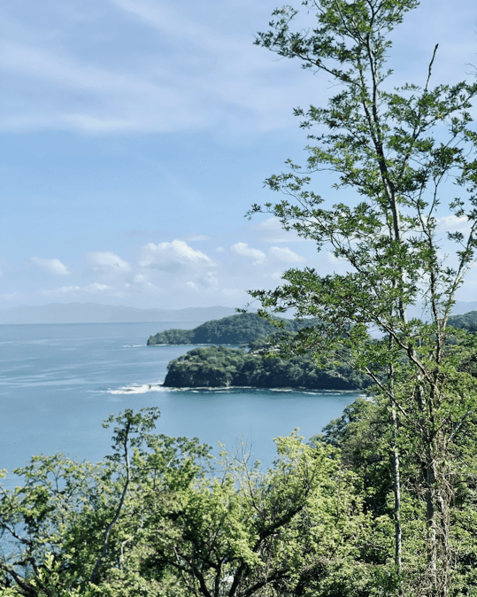 A beautiful lake view