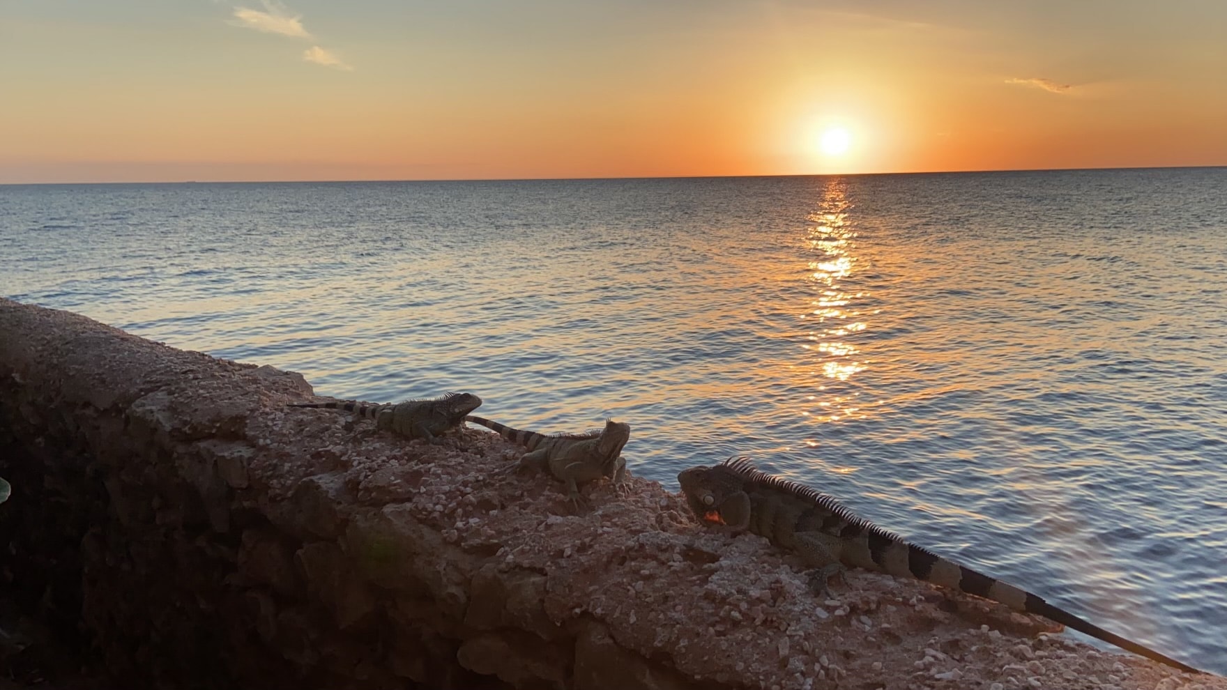 Sunset and sea view