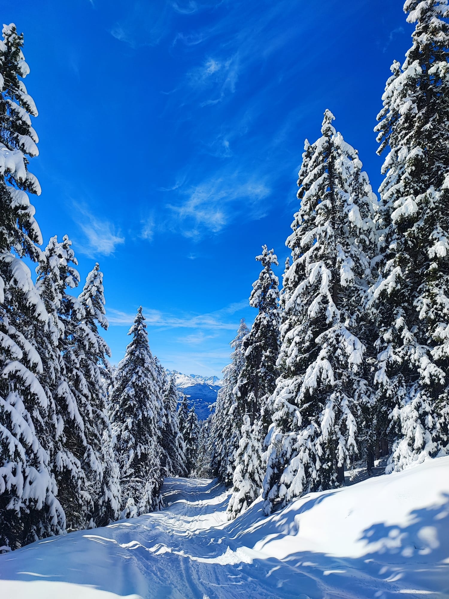 View of a snowy region