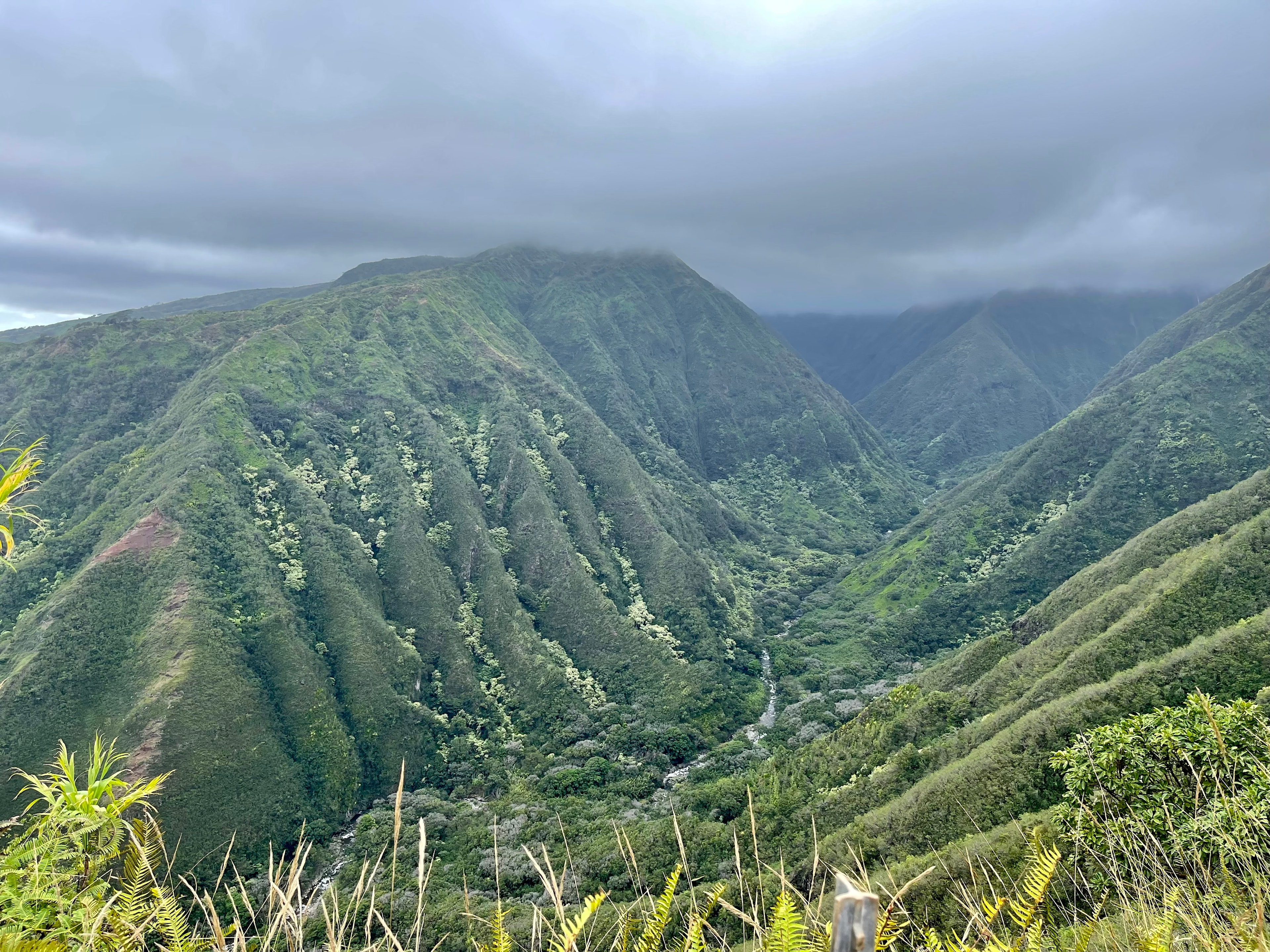 Beautiful view of the mountains