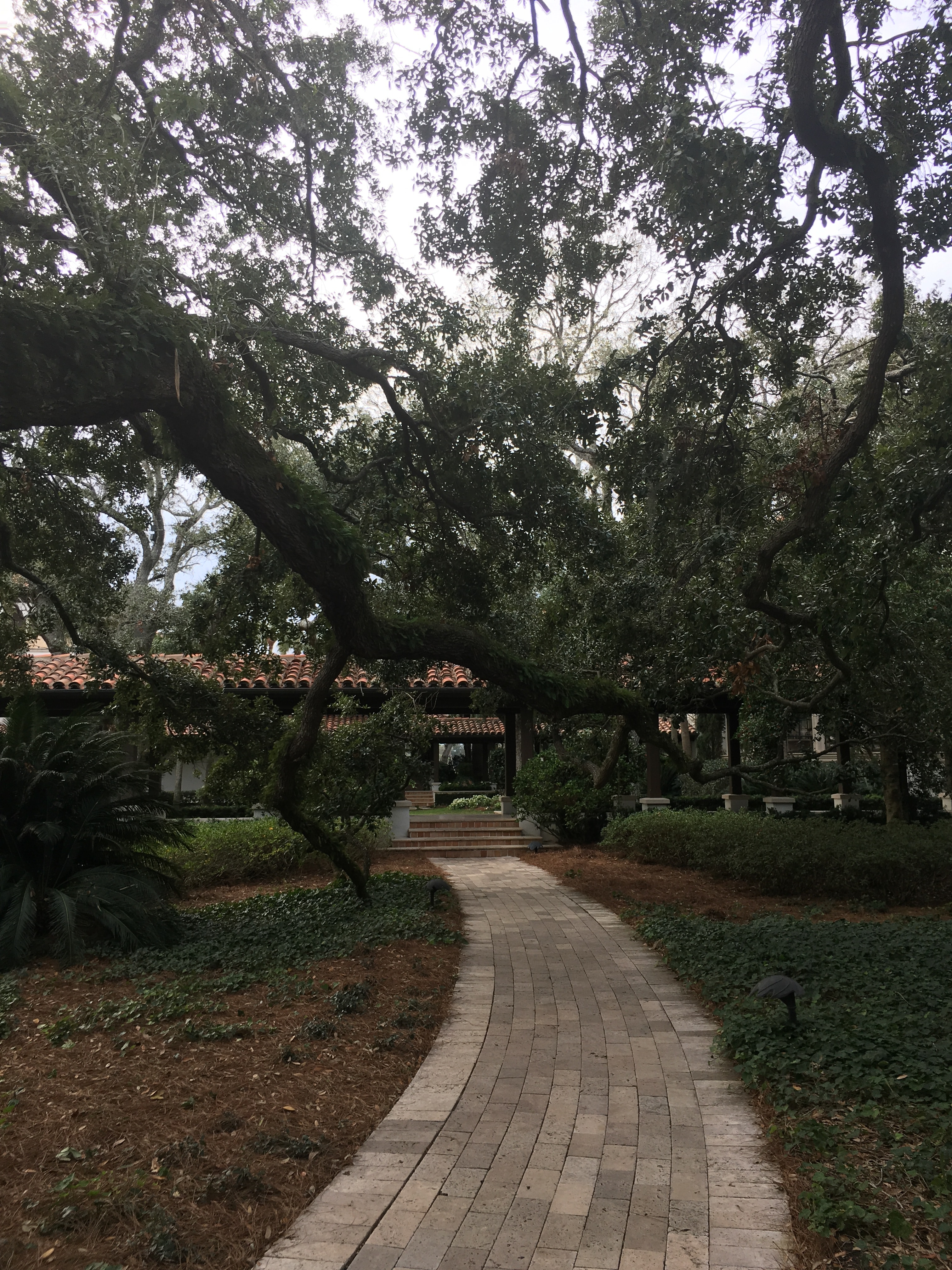 A beautiful track between trees