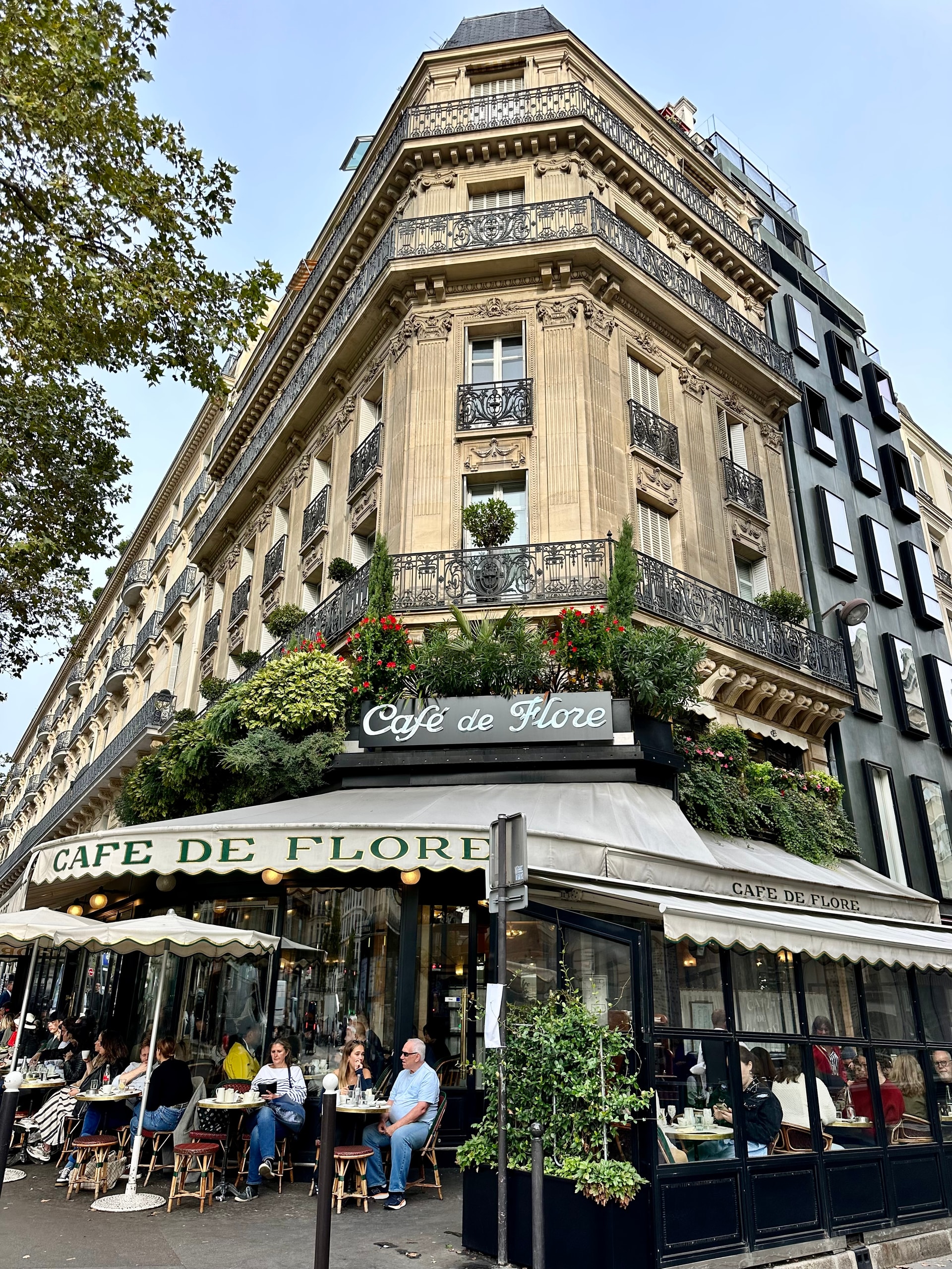 Picture of Café de Flore restuarant