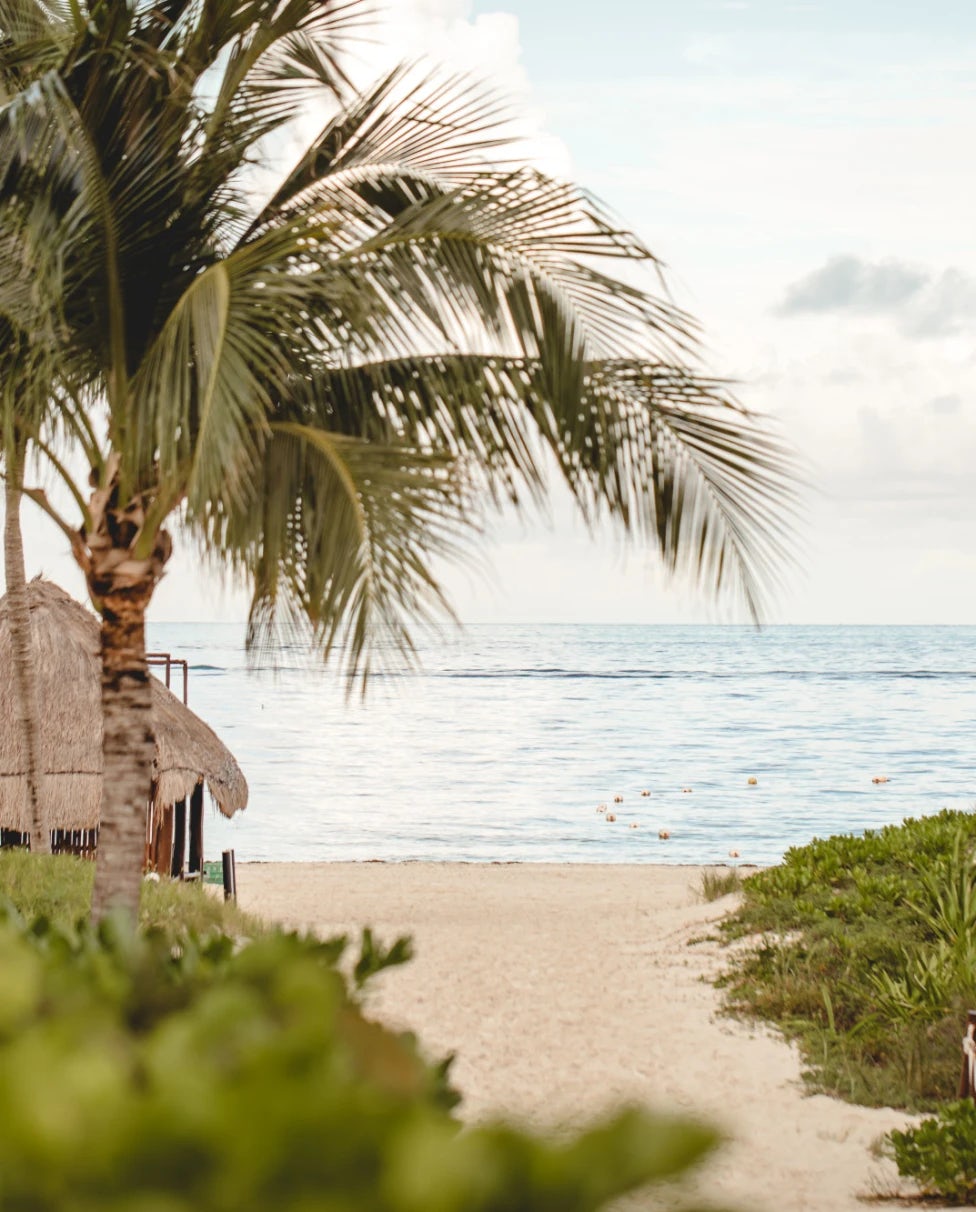 Destination Wedding at Family-Friendly All-Inclusive Resort Featuring Adults-Only Areas