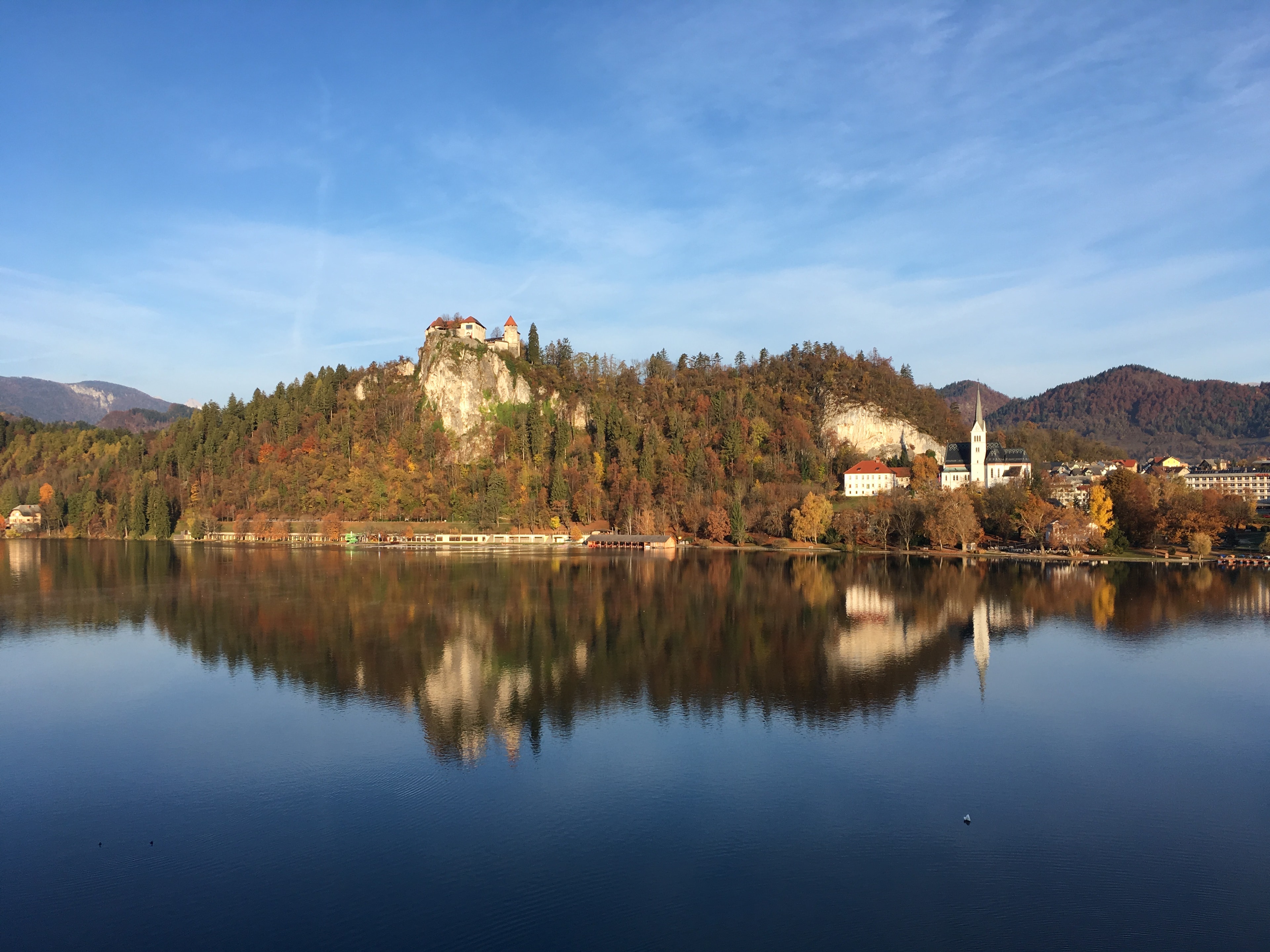 lake during autumn with a reflection of a hill covered in trees