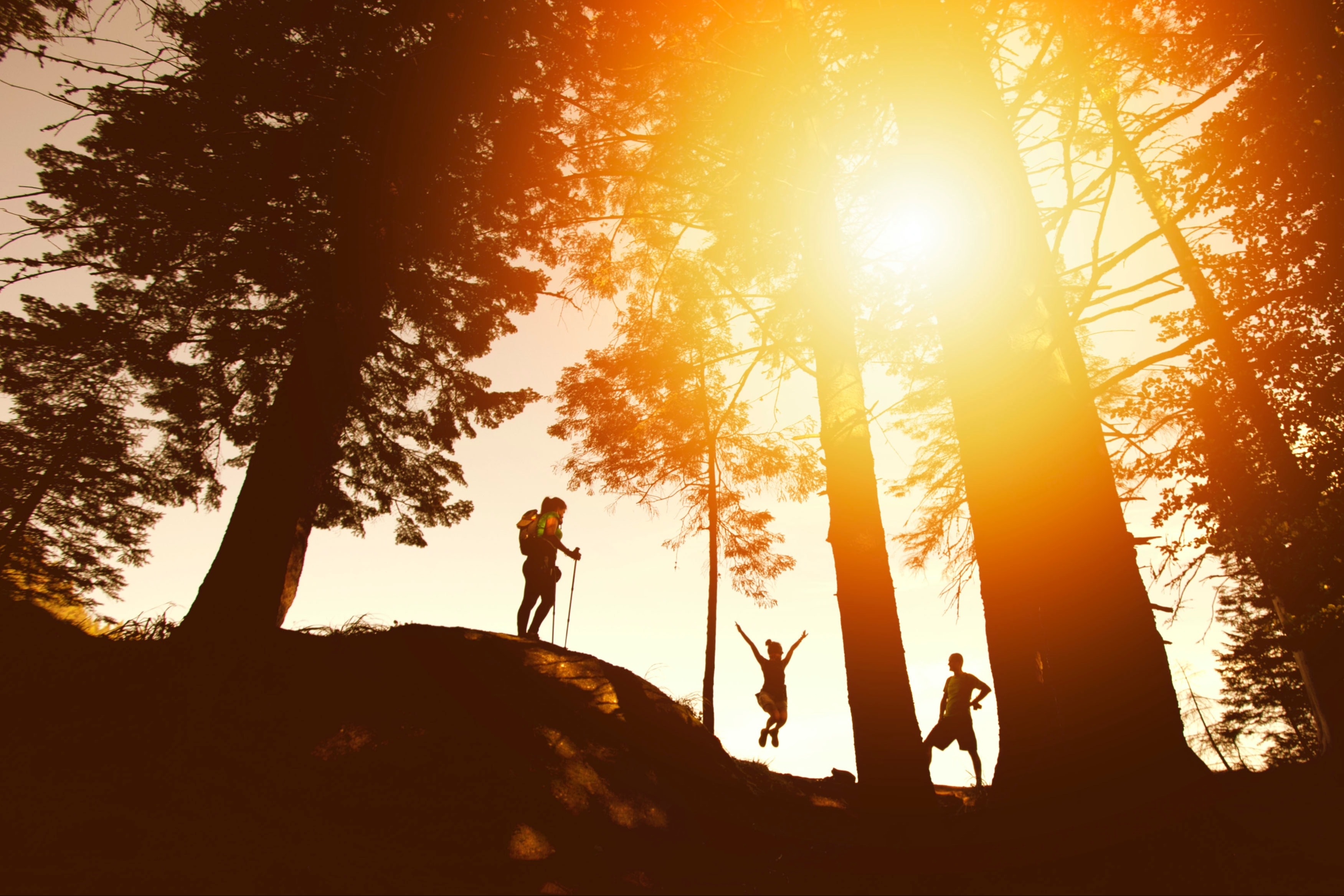 A low angled picture of three people hiking during daytime.