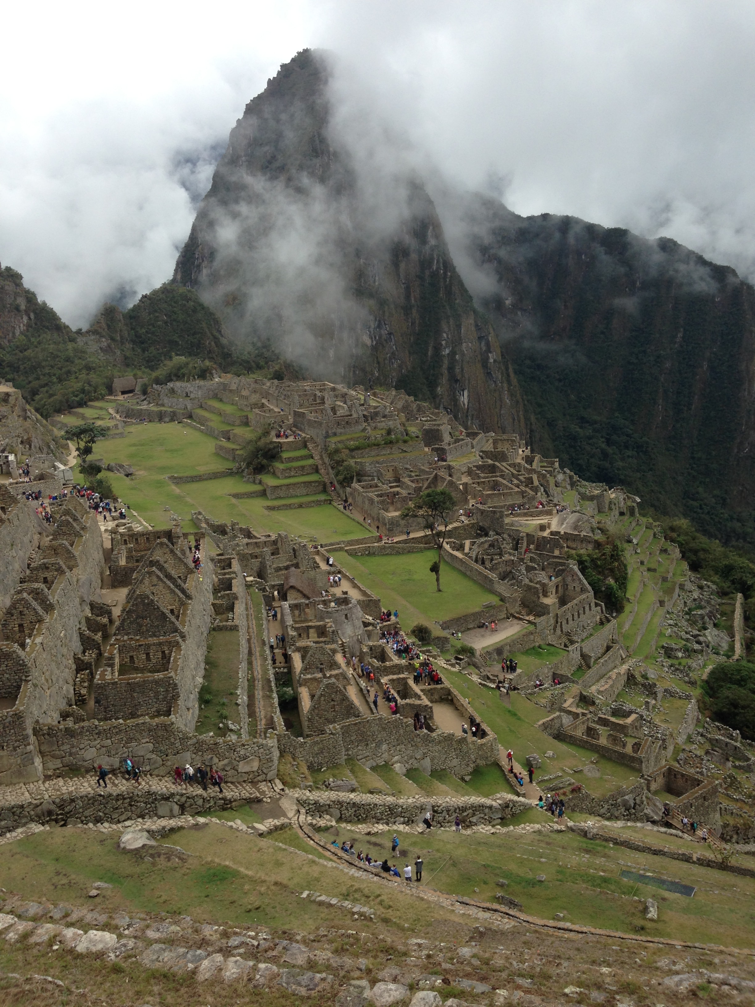 Macchu Picchu views. 