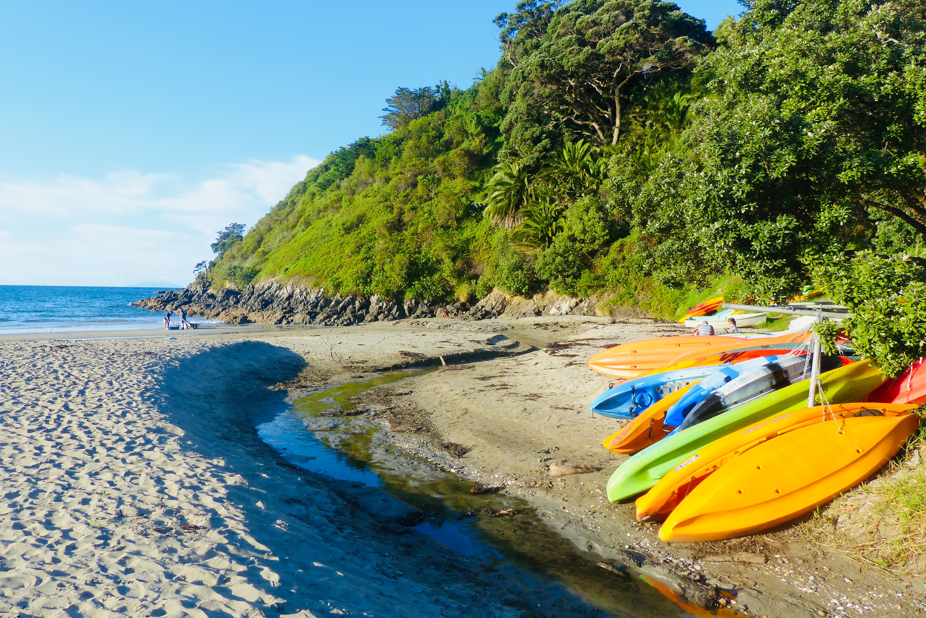 Little Palm Beach in Waiheke