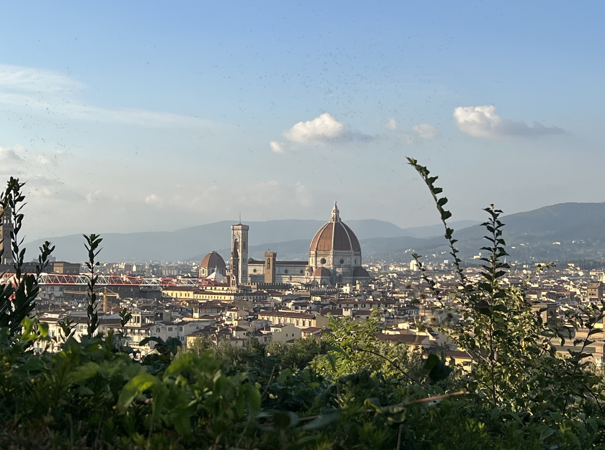 Aerial view of a  dome, buildings and mountains. 