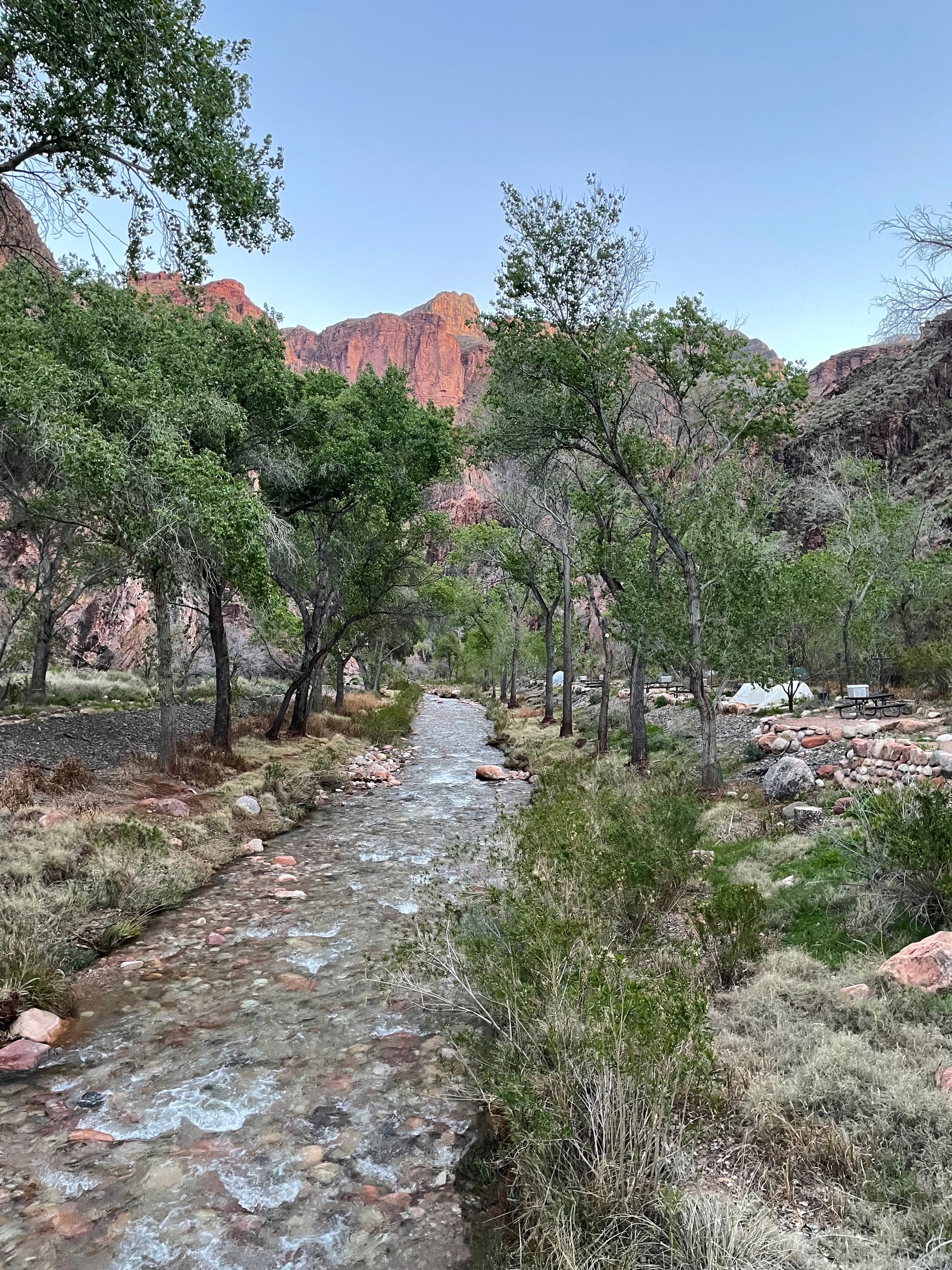 A beautiful view of a rippling stream with trees and the mountain in the background