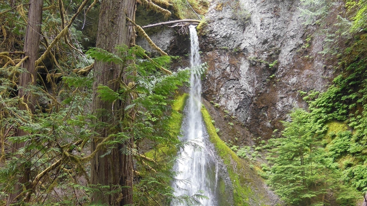 Olympic National Park offers outdoor adventures, cultural experiences and serene, natural splendor.