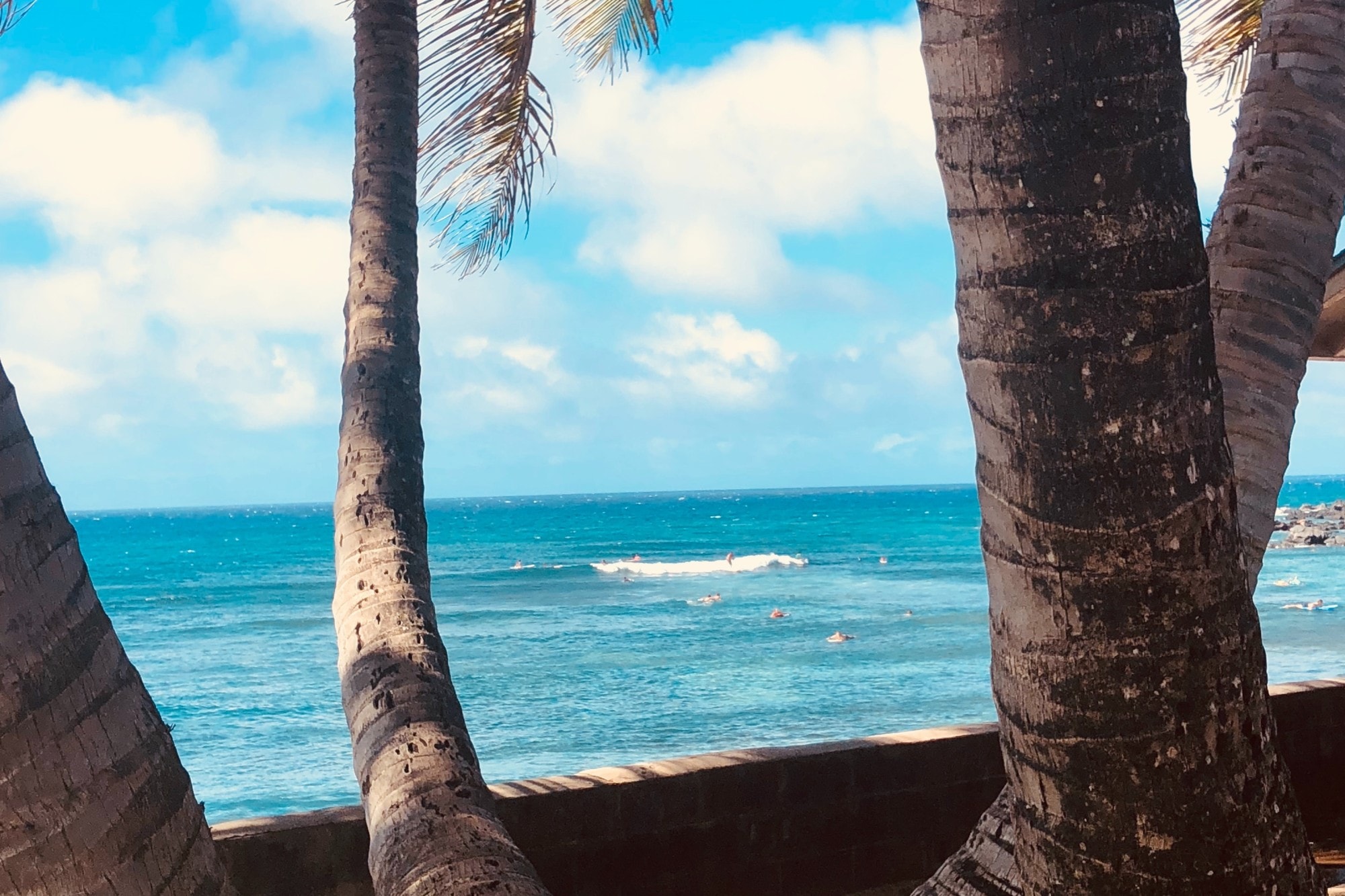 Beach with palm trees.