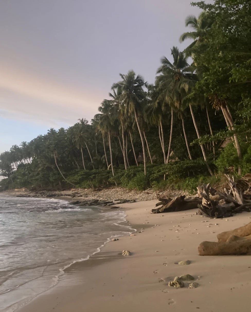 Mentawai Surf Retreat: A Playground Surf Adventure in Paradise