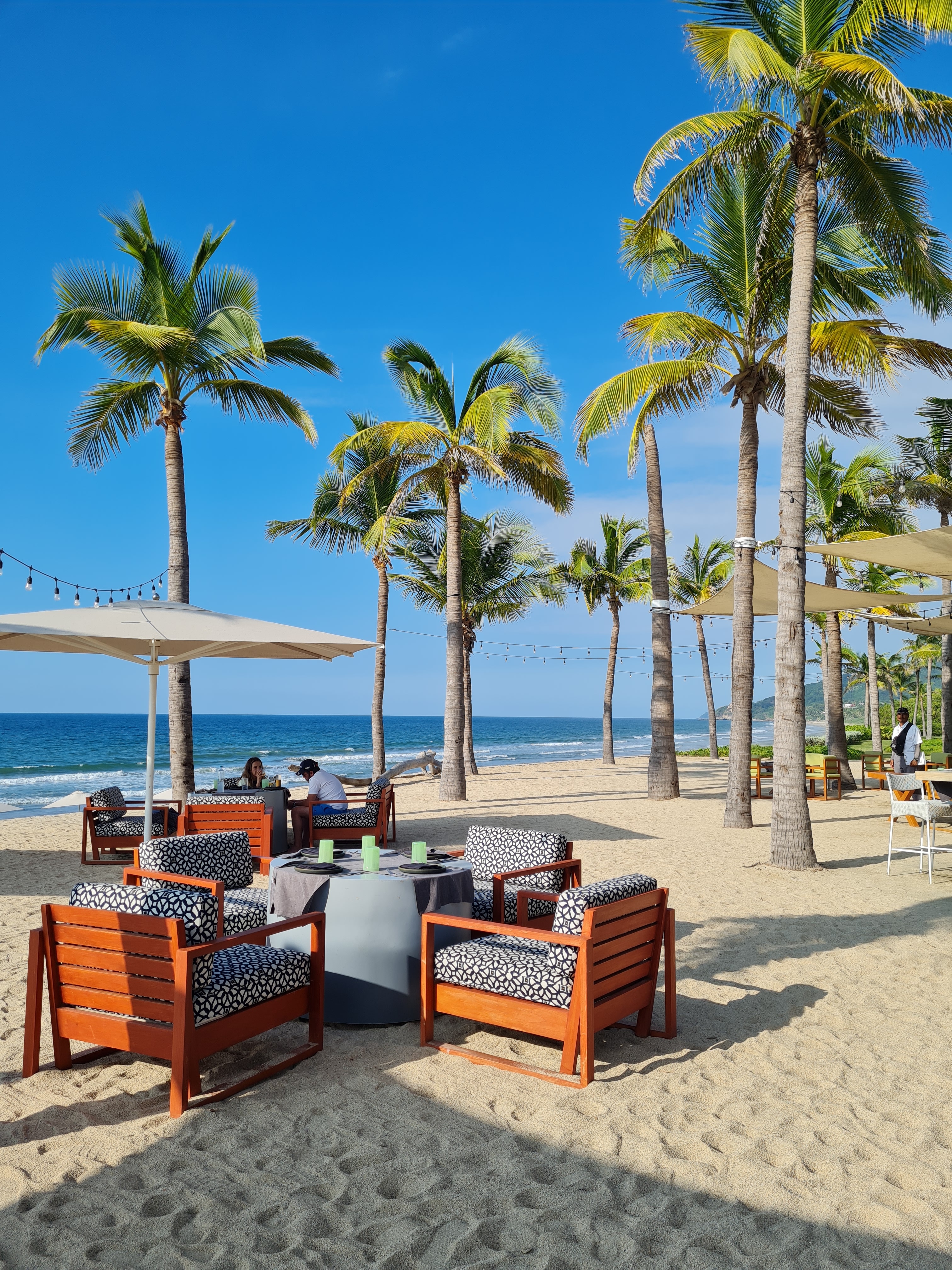 Palm trees on the beach