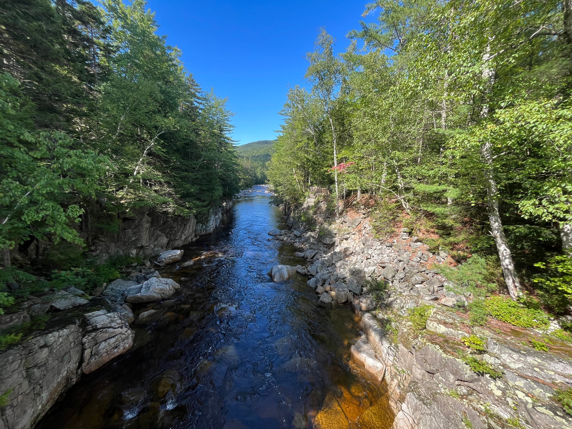 Narrow river running through a wooded landscape, on a sunny day with a clear blue sky.