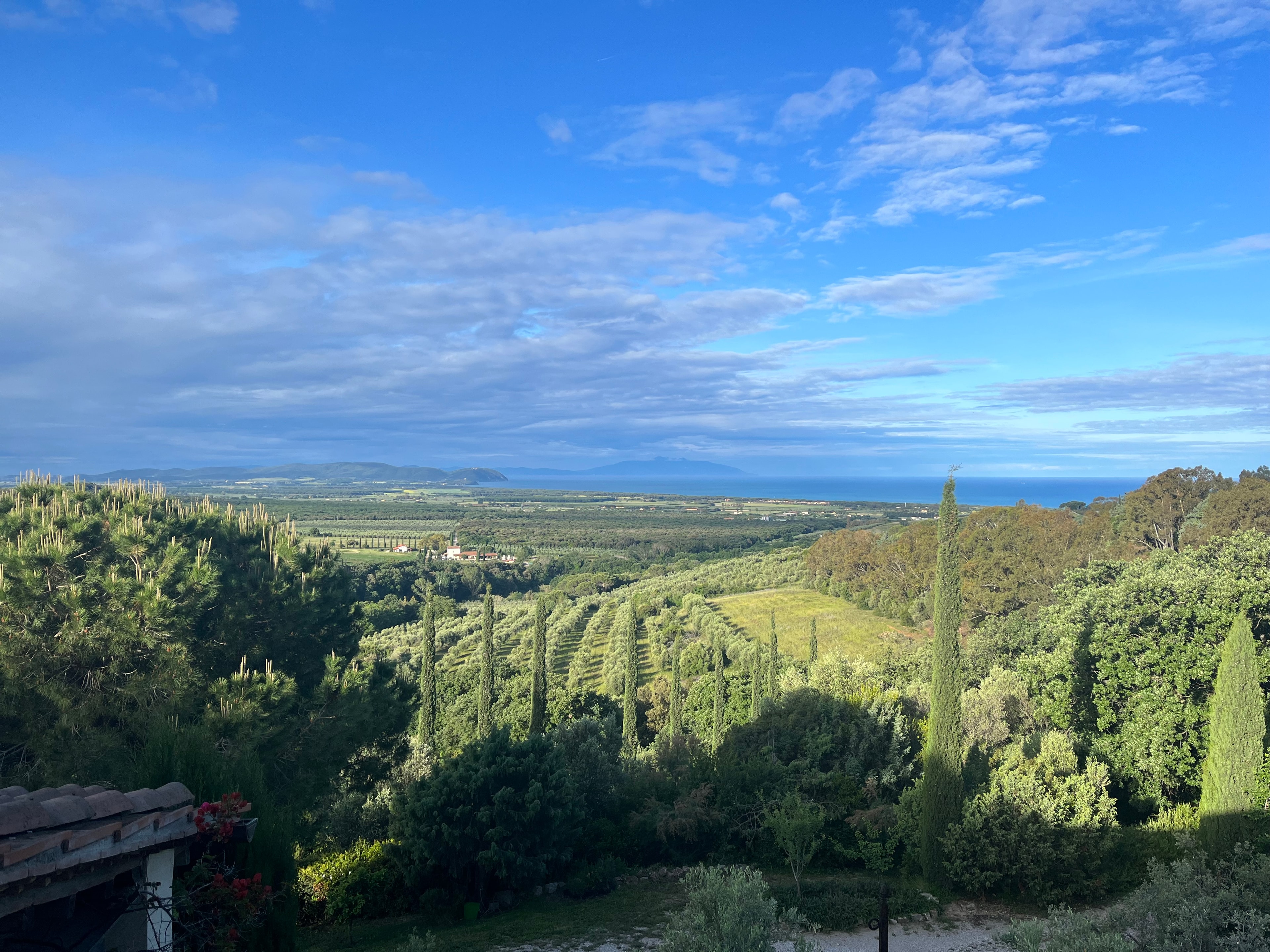 View of a valley