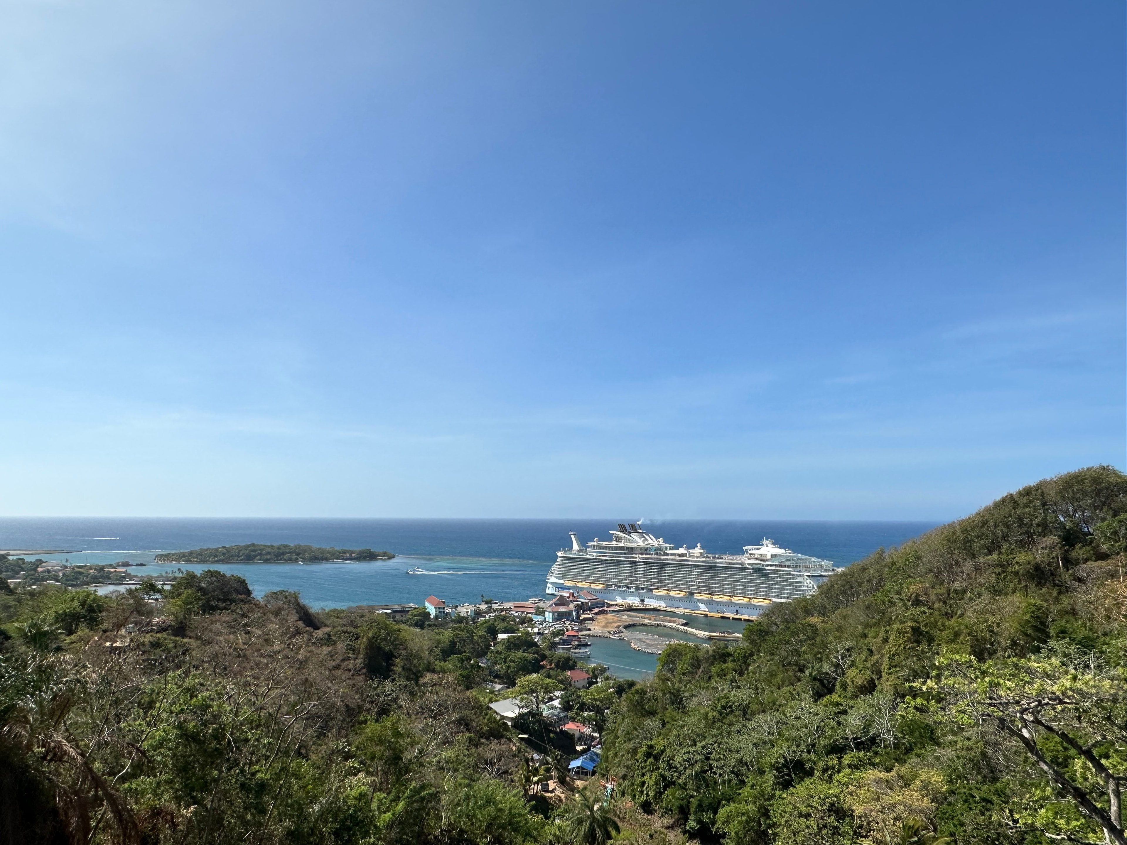 Picture of a Cruise ship at sea in the distance surrounded by green trees and a blue sky