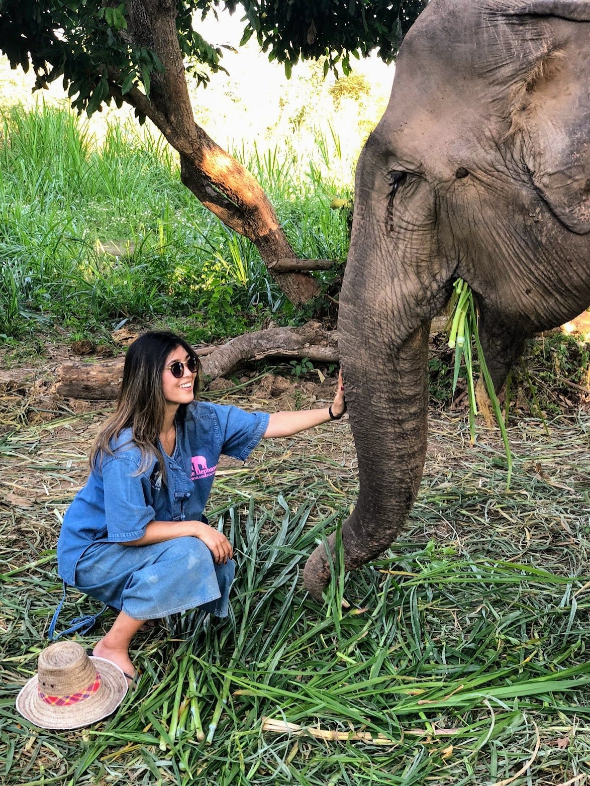 Advisor petting an elephant at an elephant sanctuary.