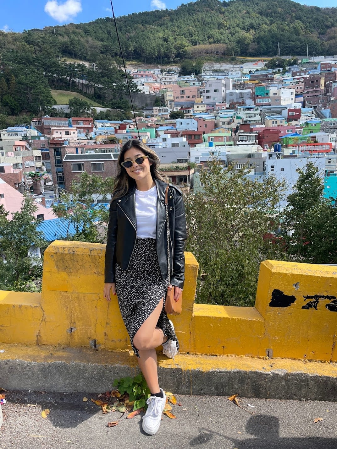 Nicole G posing with an aerial view of the city behind her. 