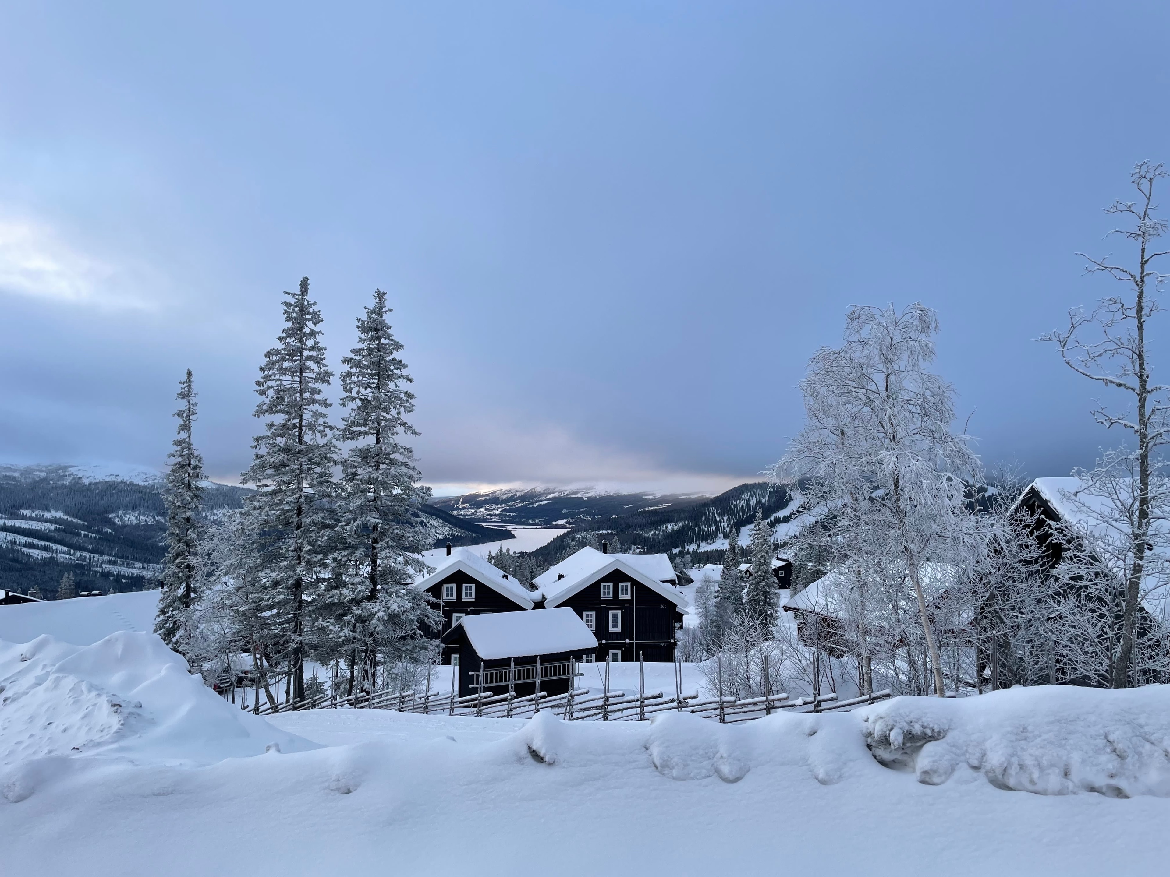 snowfall scene