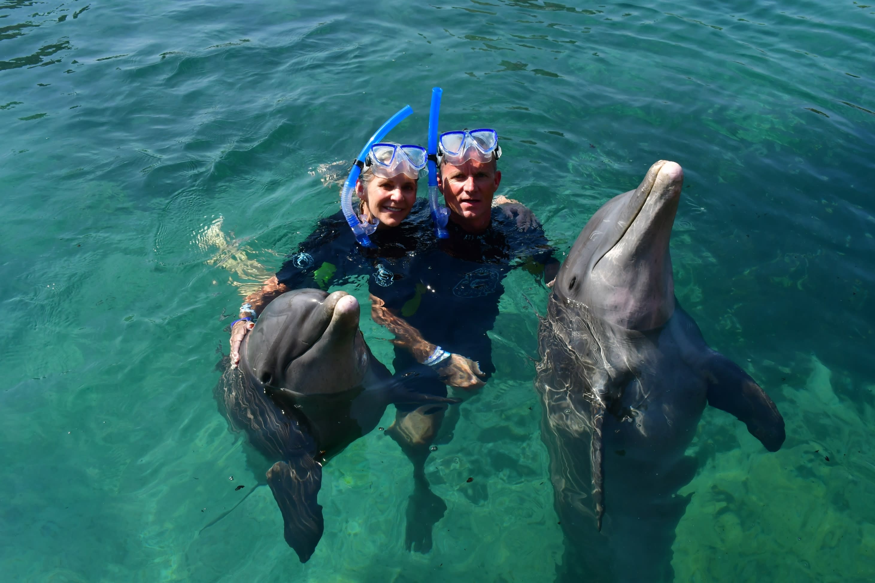 kim enjoy with dolphin