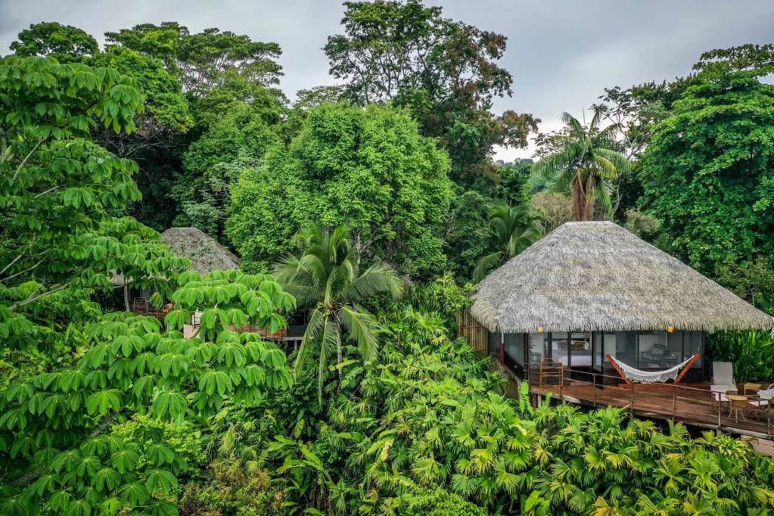 Thatch-roofed cabins with glass walls sit in dense jungle