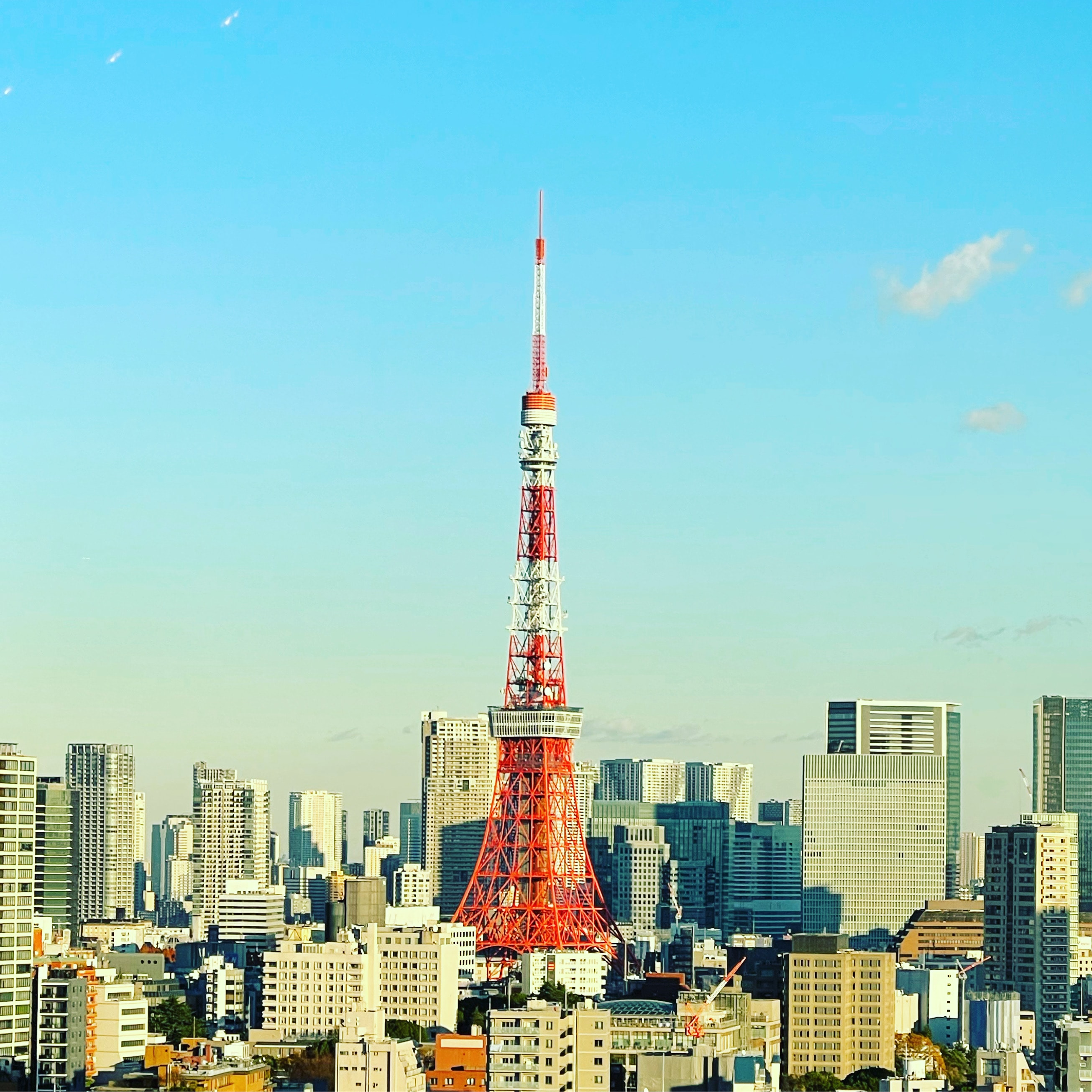 A view of the Tokyo skyline. 