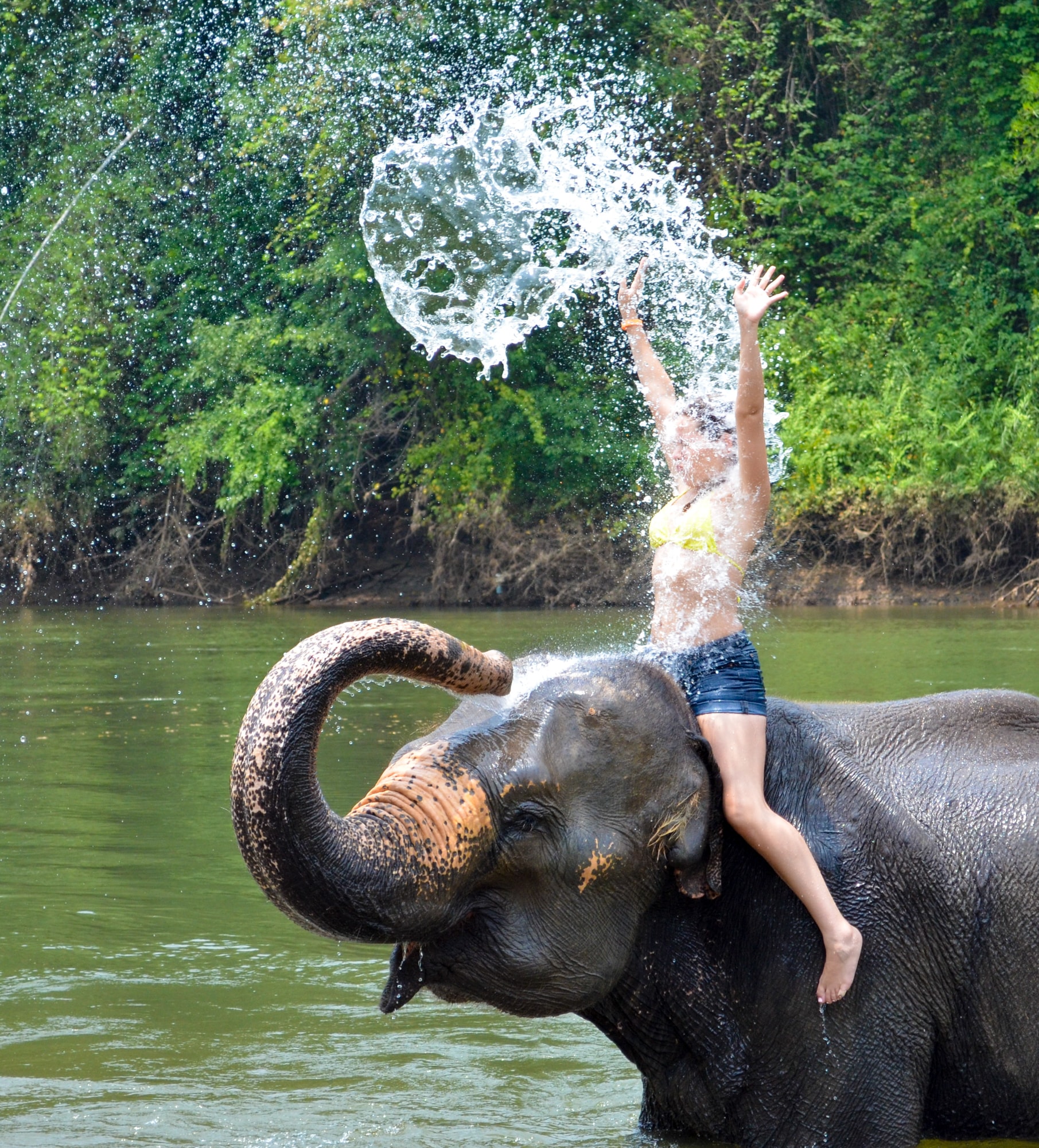 Travel advisor Sofia sitting on an elephant with her hands in the air in a body of water with water spraying up over her