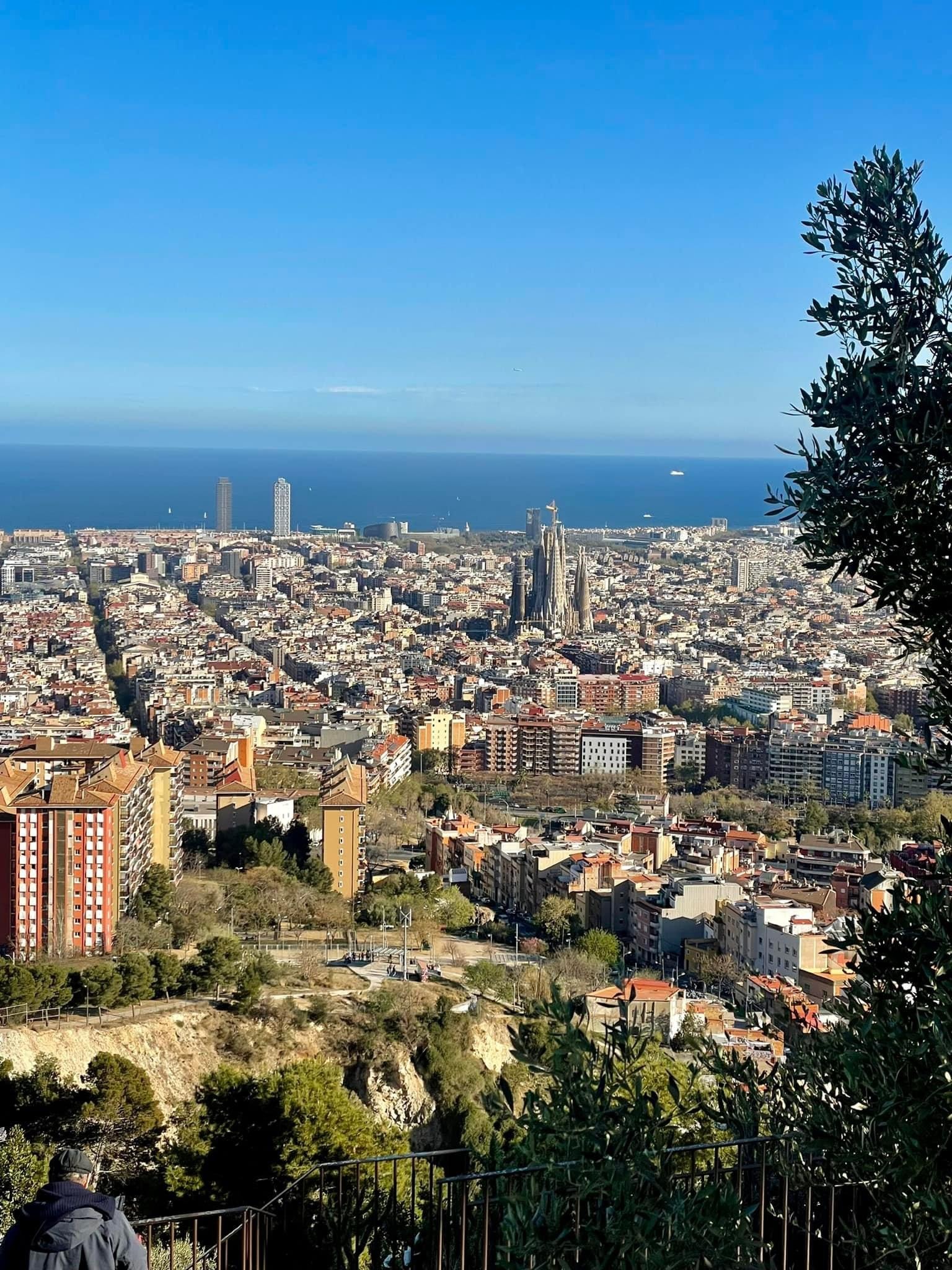 Aerial view of a city with a park and the ocean in the distance on a clear day