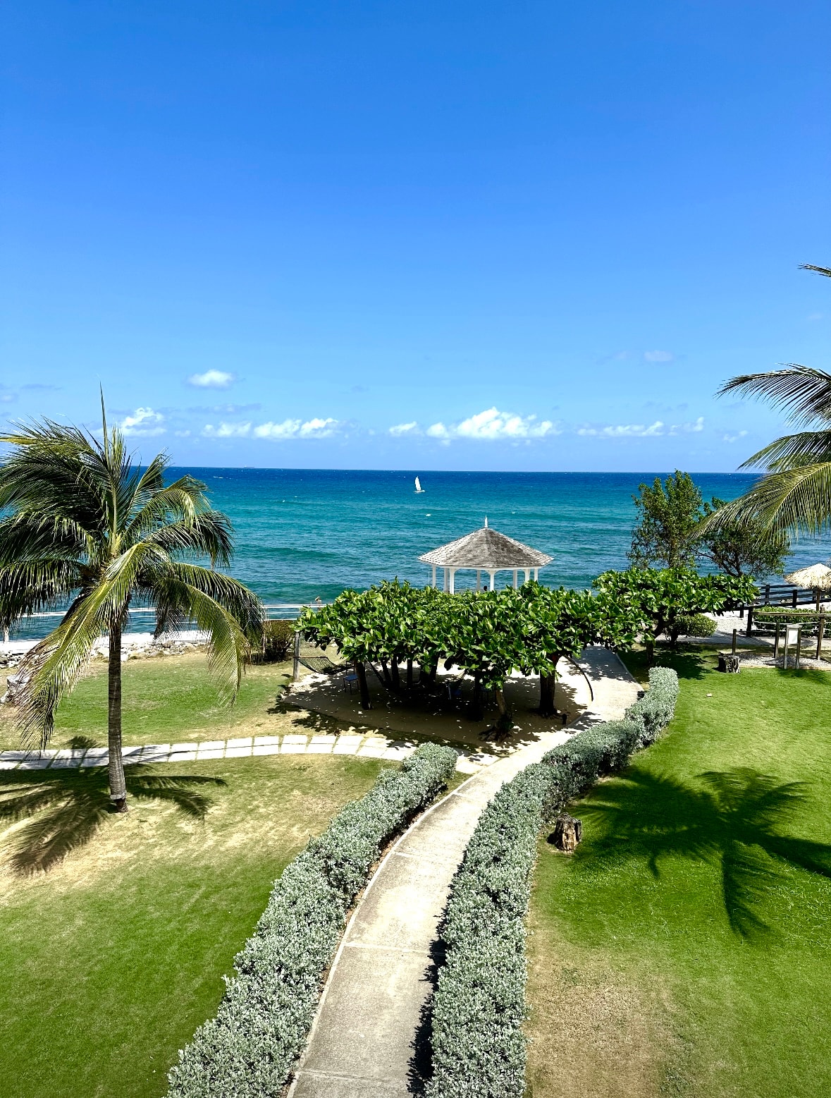 A beautiful view of the ocean with a sandy walking path and foliage on either side on a sunny day.