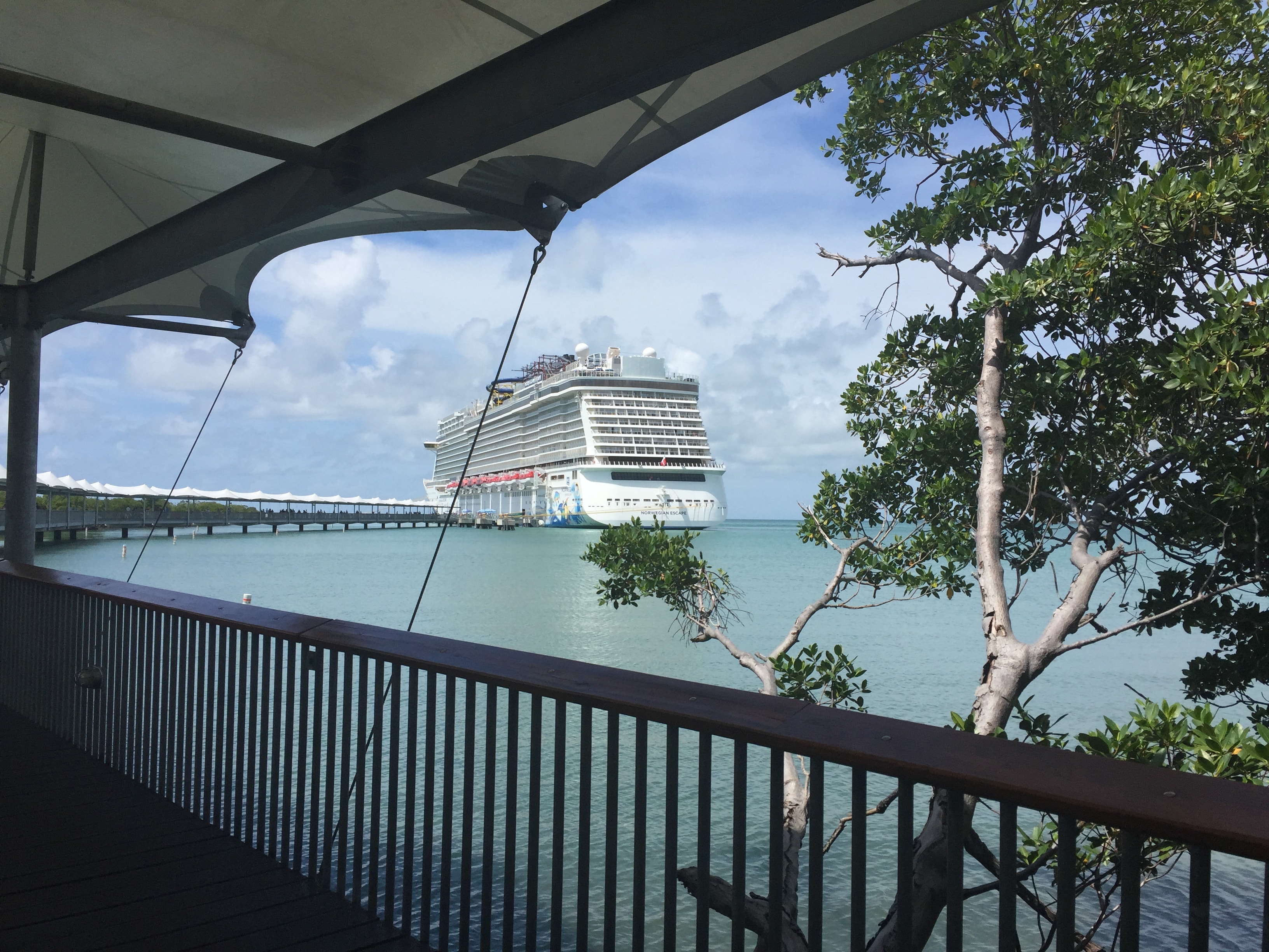 Image of large cruise ship on a sunny day with foliage in the surrounding area. 