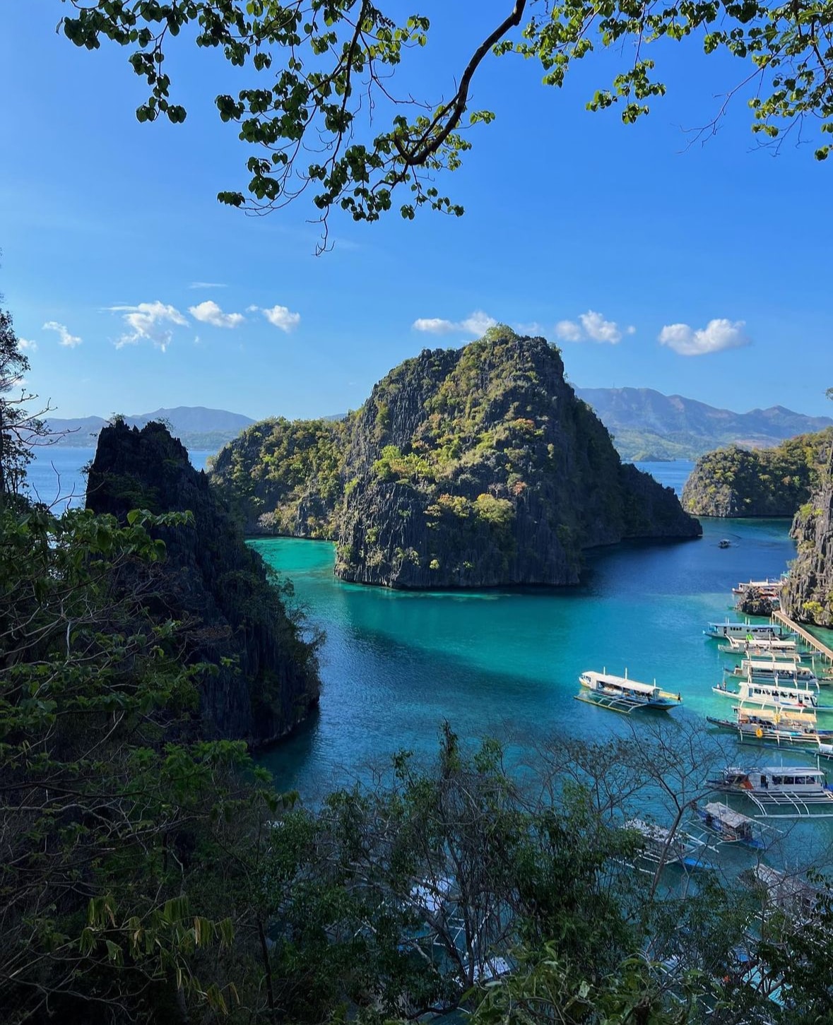 An image of the ocean on a clear day surrounded by foliage with rock formations in the distance. 