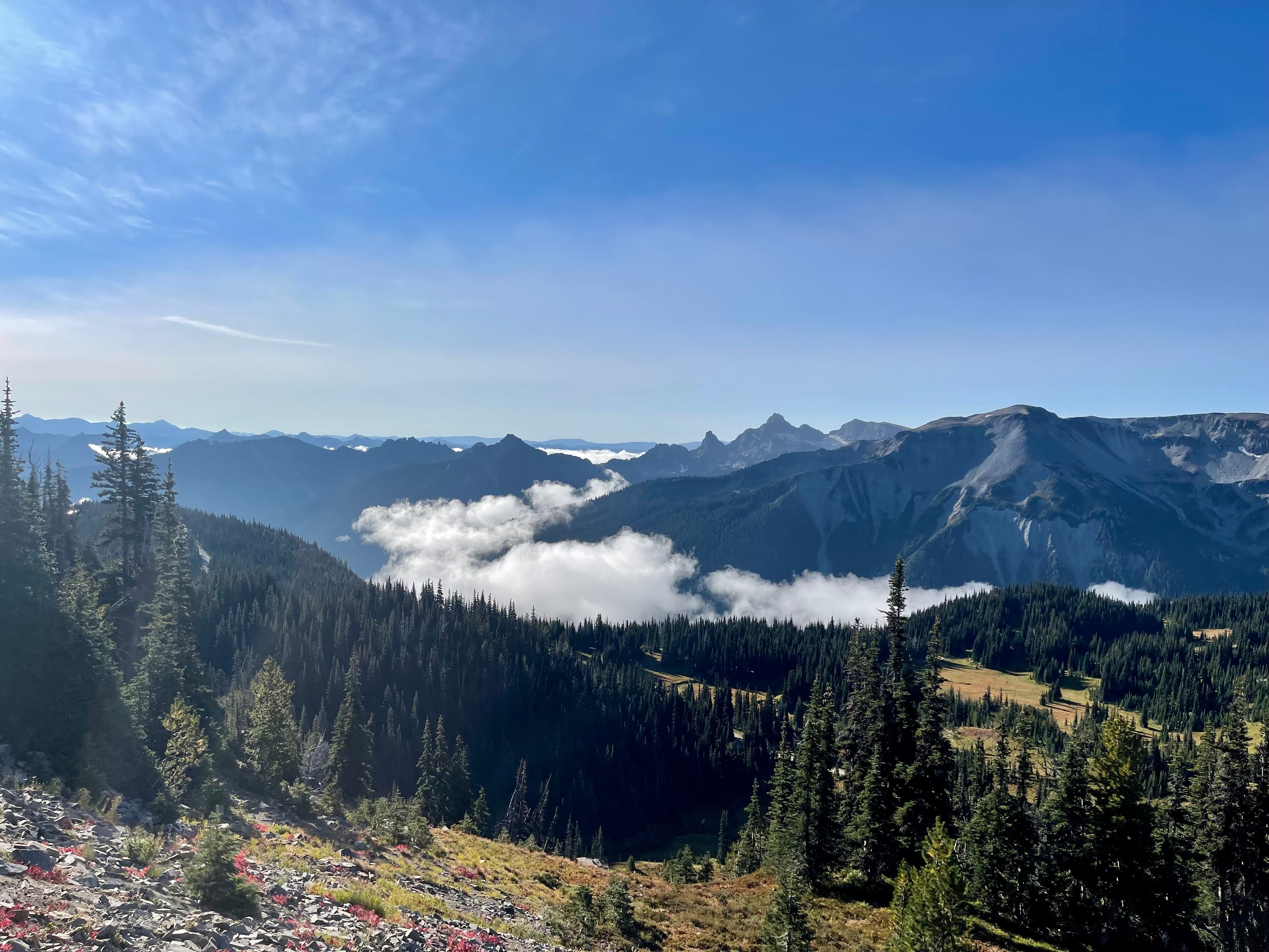 An image of a mountain region with a forest, low clouds and other mountain peaks in the distance. 