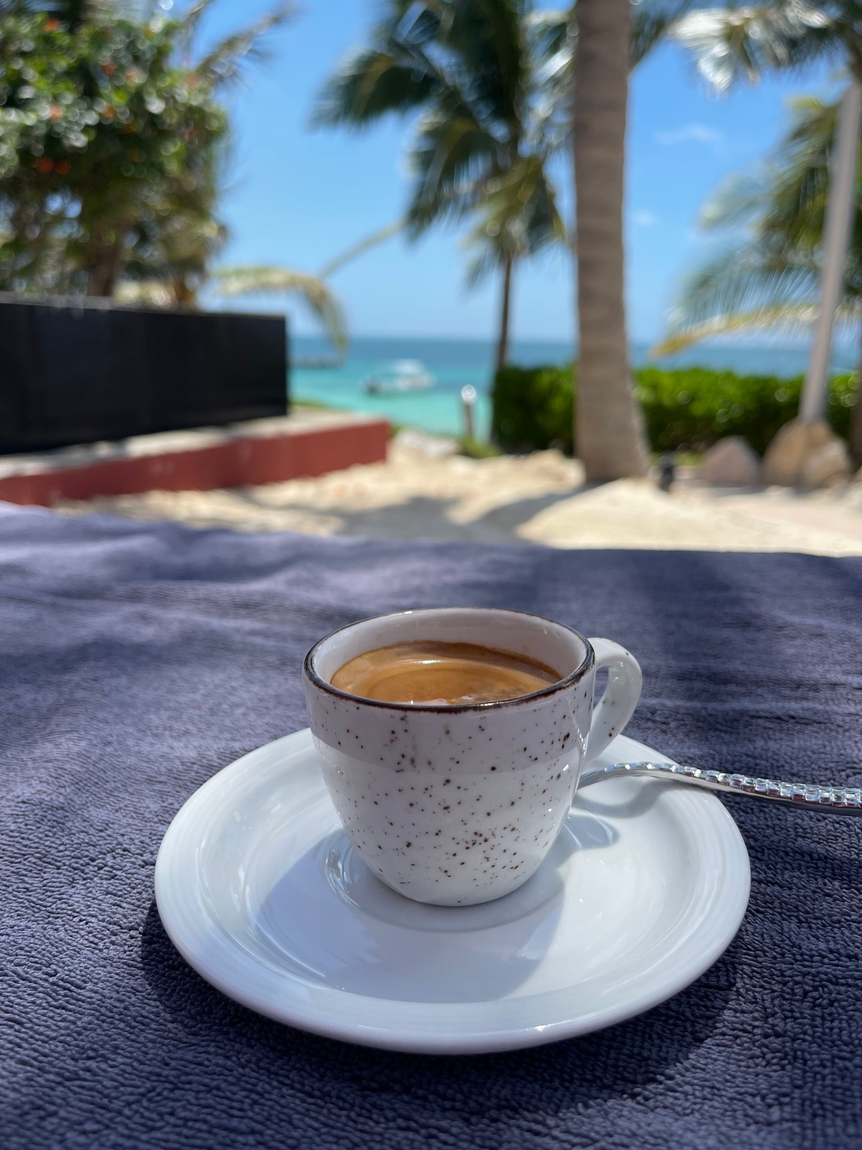 An image of a coffee on a table with the ocean and palm trees in the distance on a sunny day. 