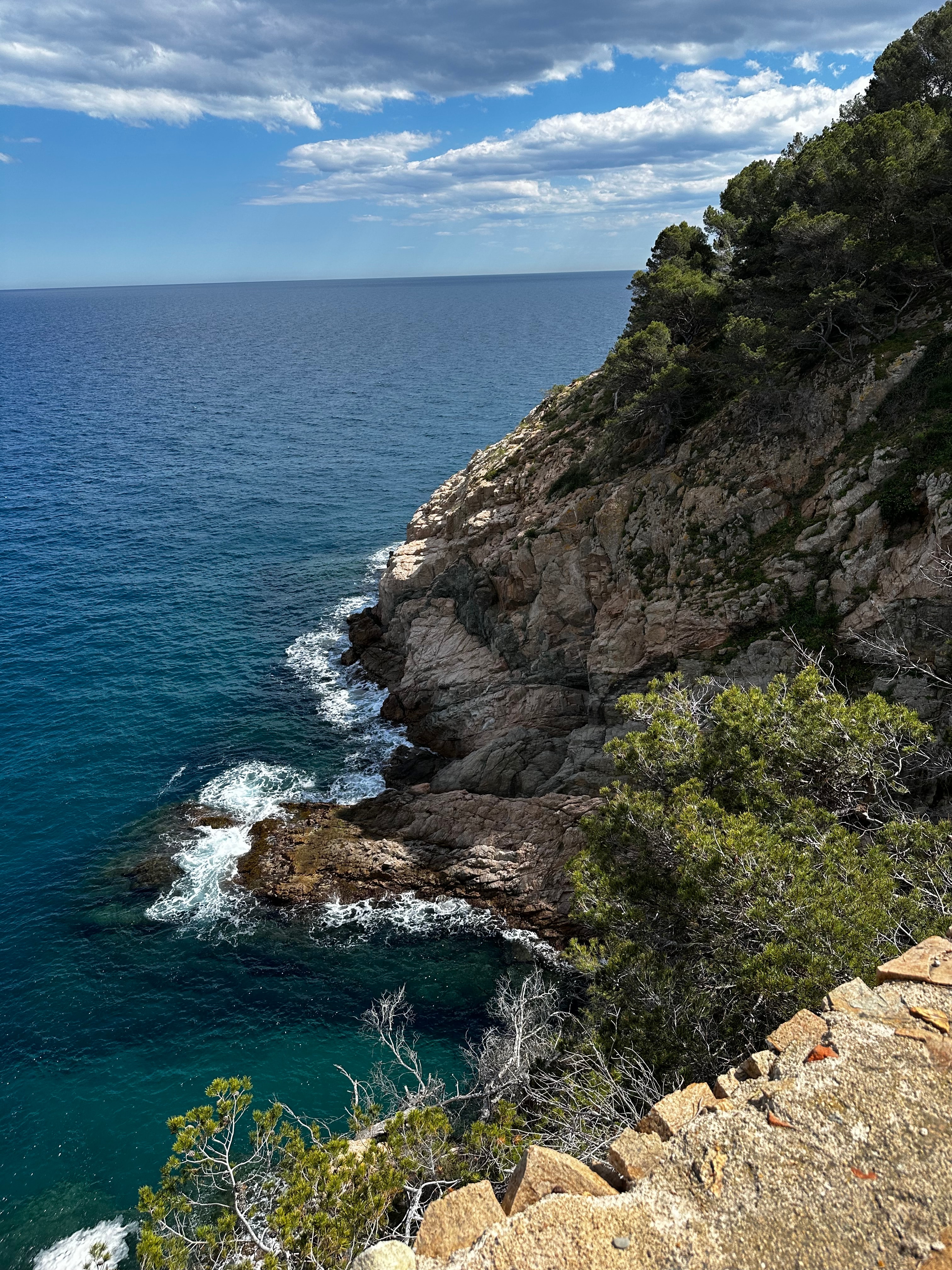 An image of a cliff that descends in to an ocean shoreline on a sunny day.  