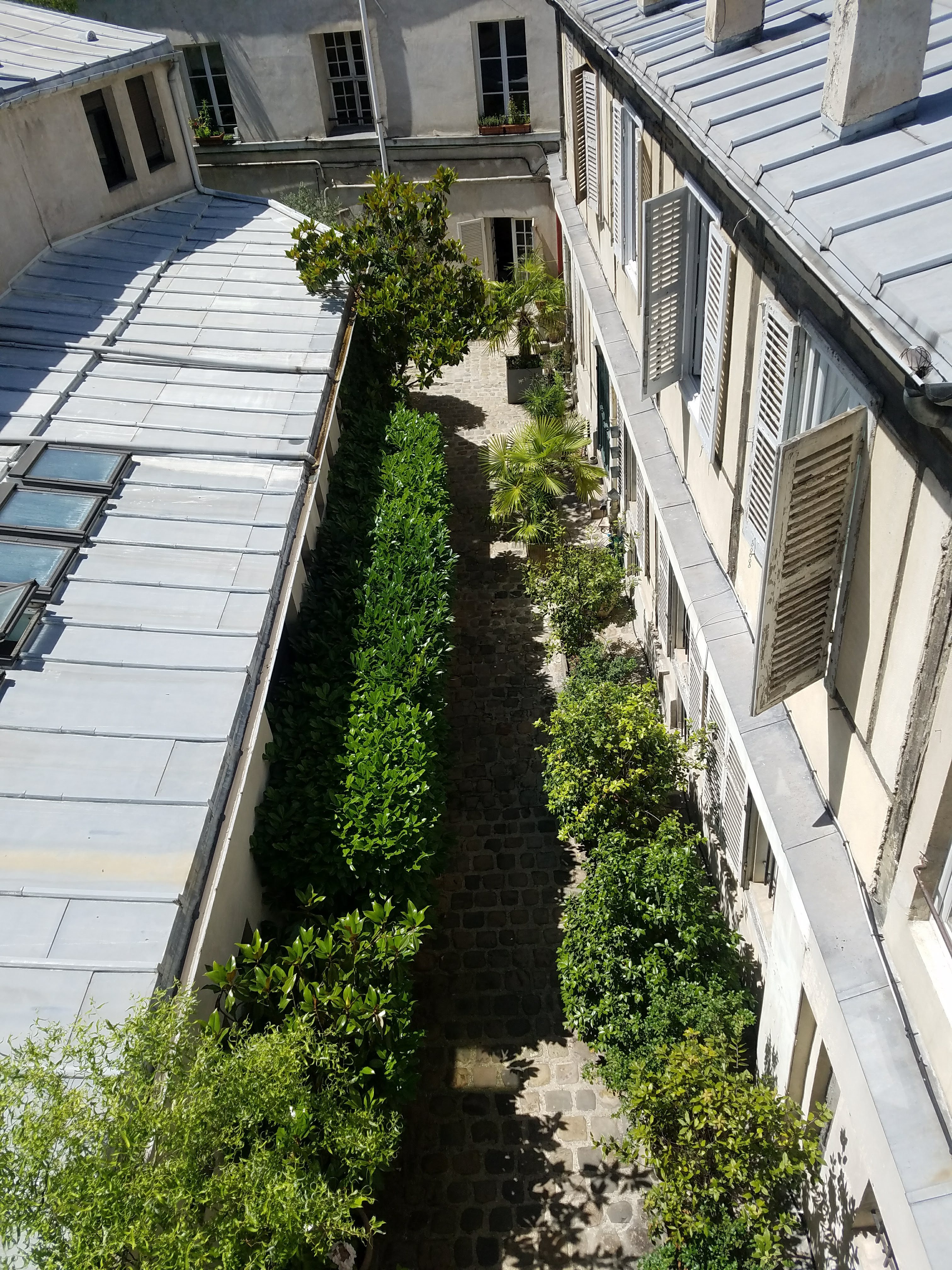 A view of a garden from above on a sunny day.