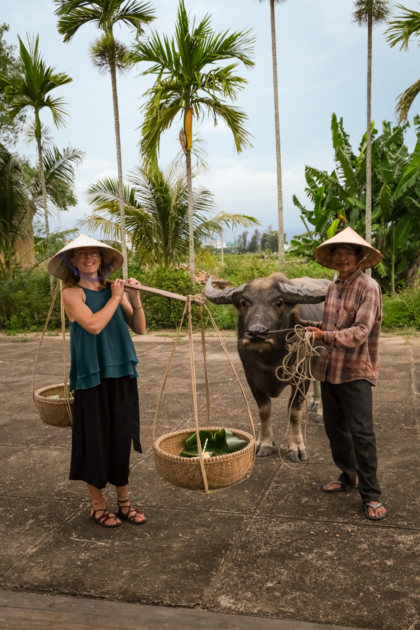 Advisor posing for an image with a bull and a farmer in a tropical region with palm trees in the distance. 