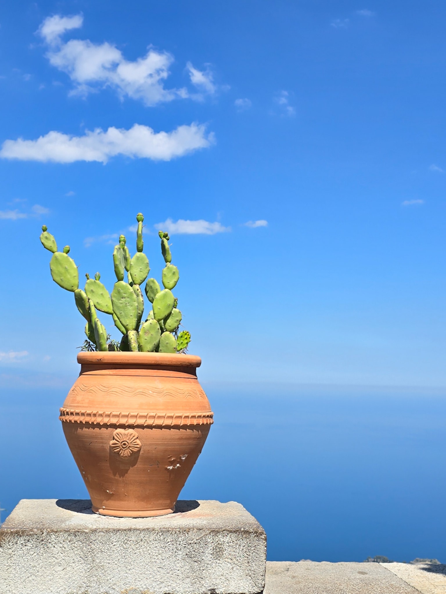 A flower pot with a cactus growing in it with a blue sky and ocean in the distance.