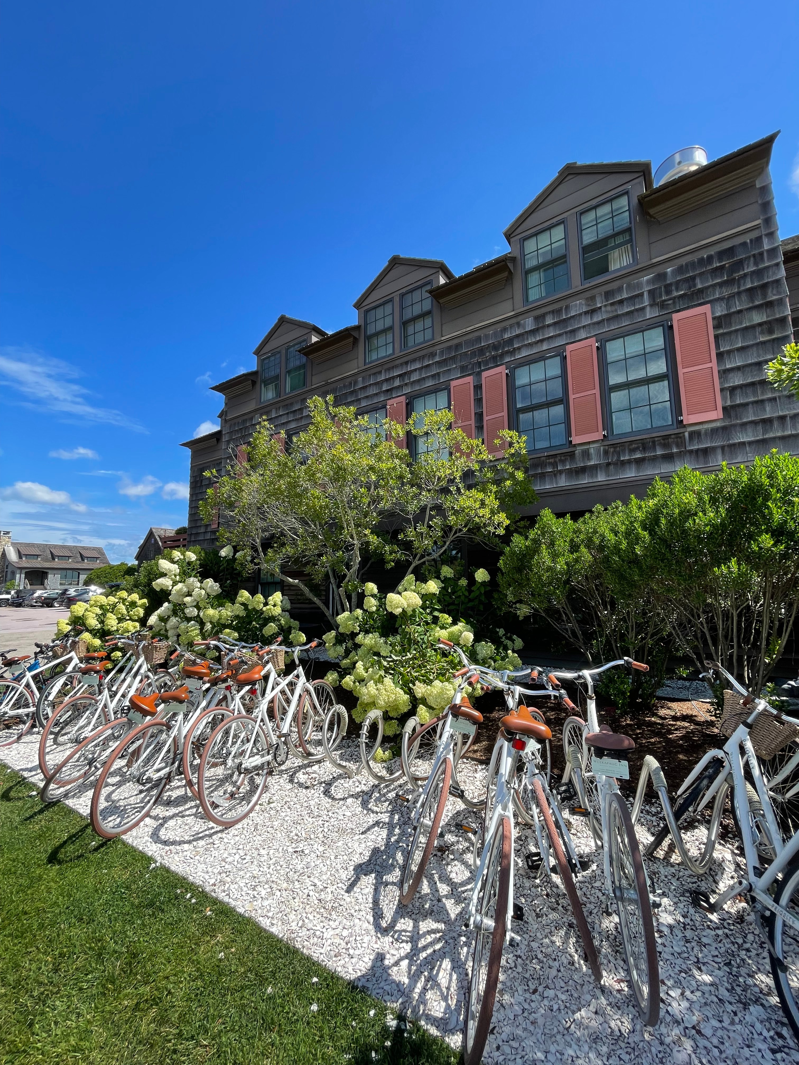 Bicycles sitting outside of a large resort with foliage in the distance. 