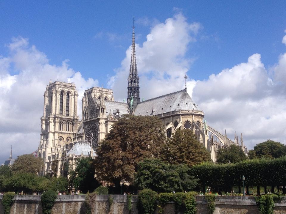 View of Notre Dame cathedral in Paris surrounded by trees on a sunny day