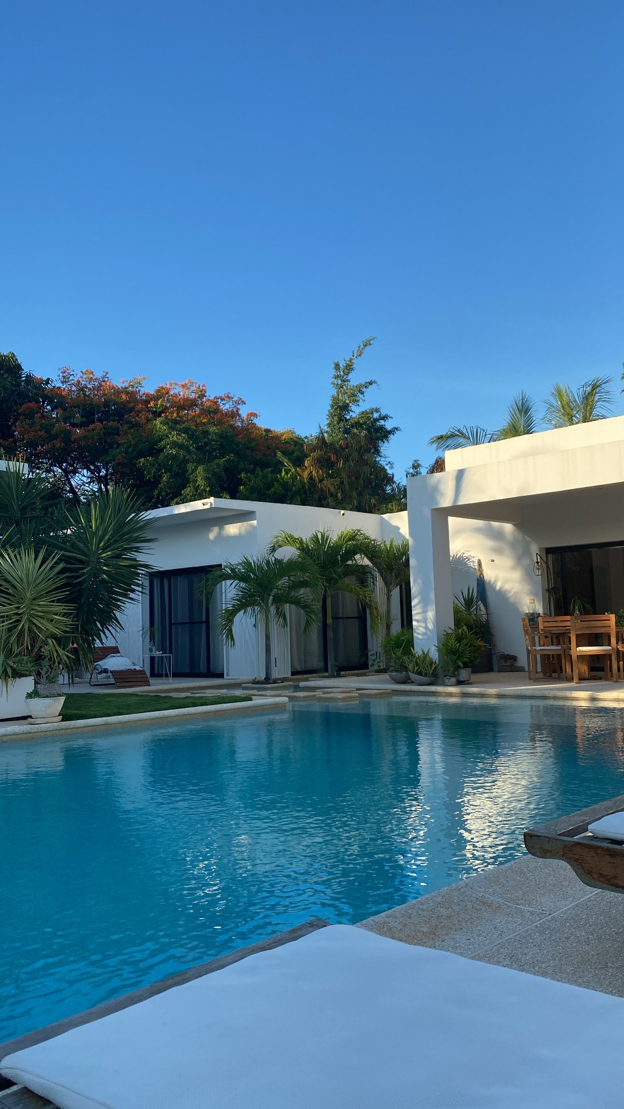 View of a pretty resort pool surrounded by palm trees and white modern buildings on a clear day