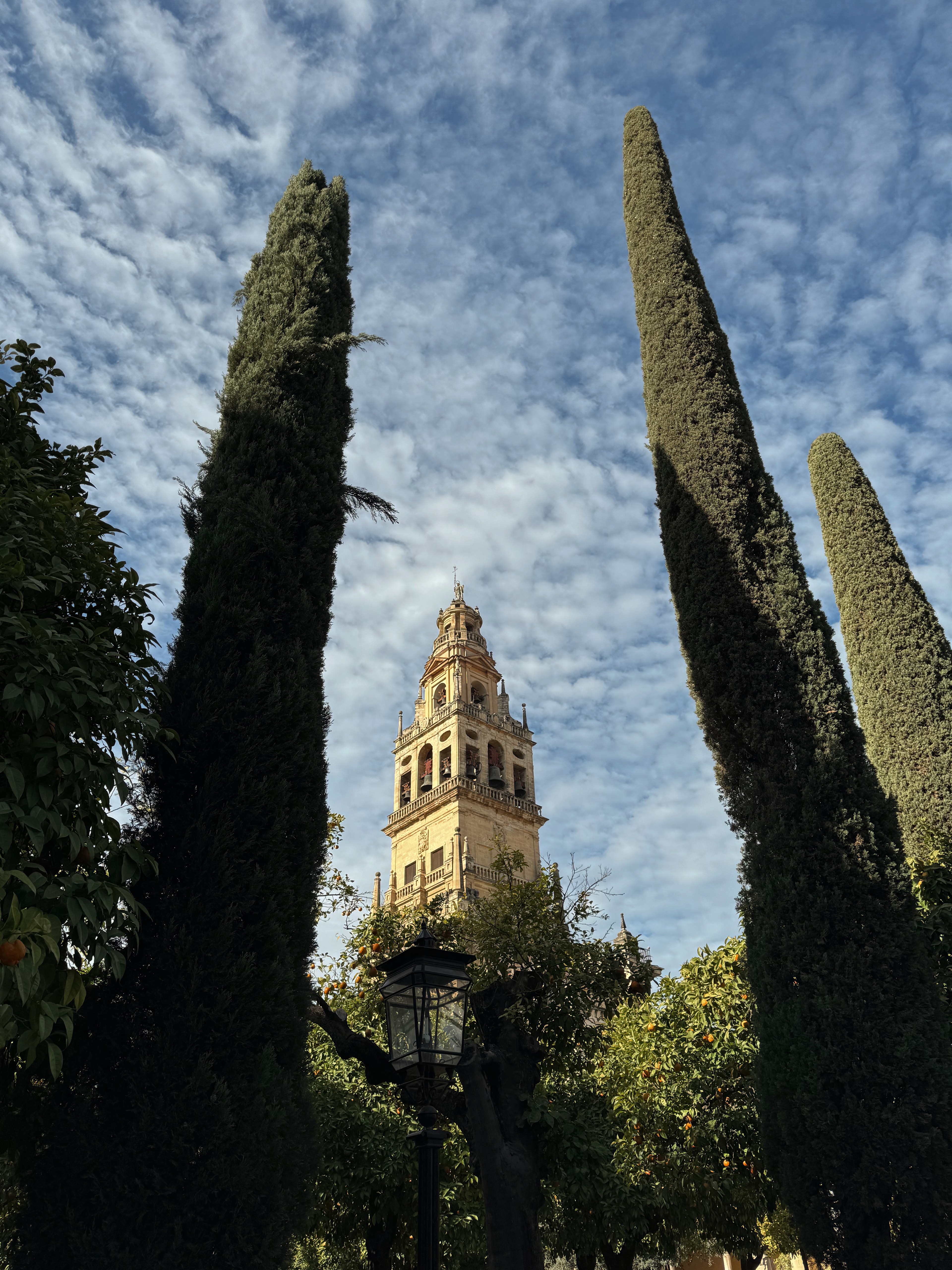 Beautiful view of a tower seen between two tall trees under blue skies