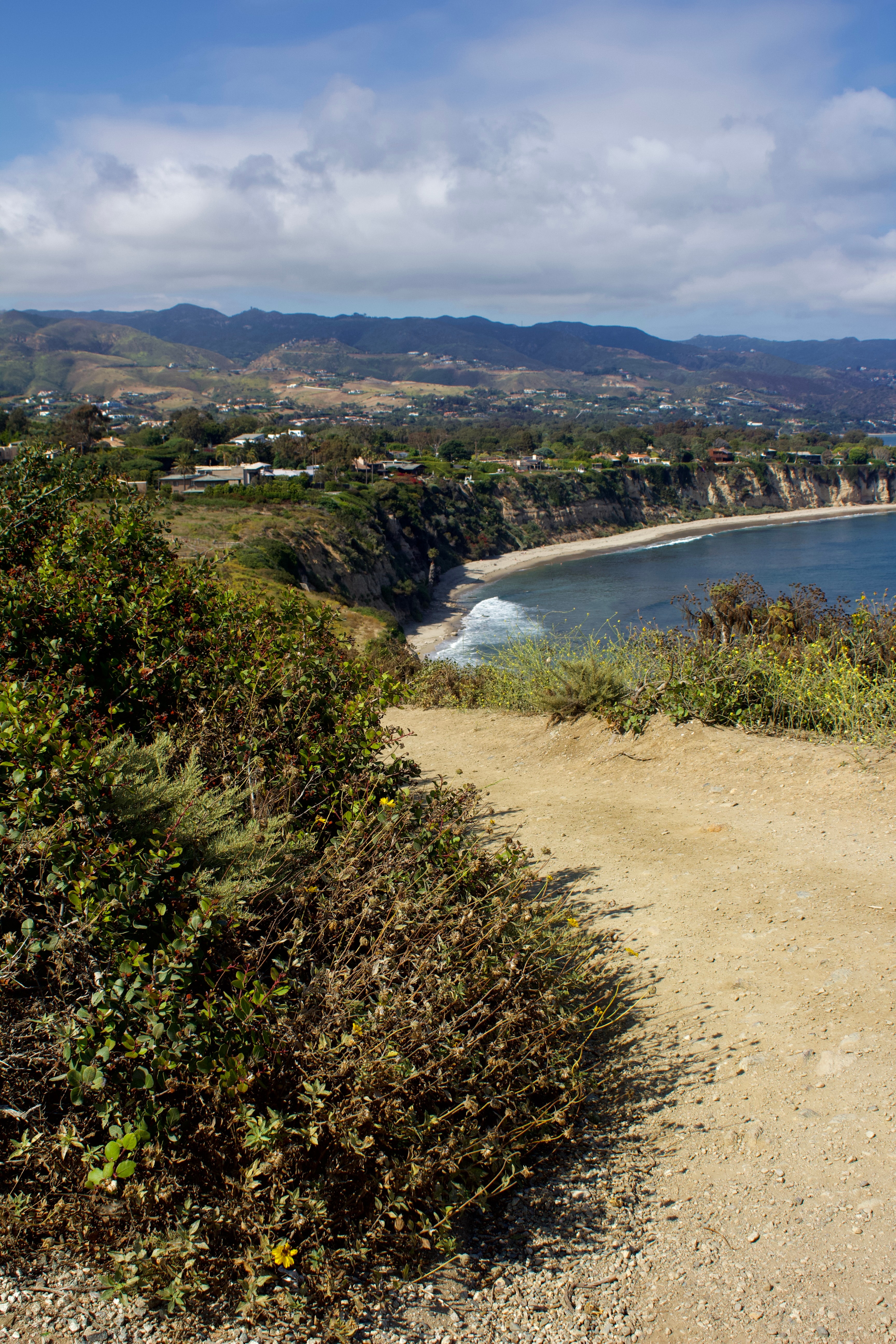 Pretty view of a field and trees leading to a coastline with a sandy beach and mountains far in the distance