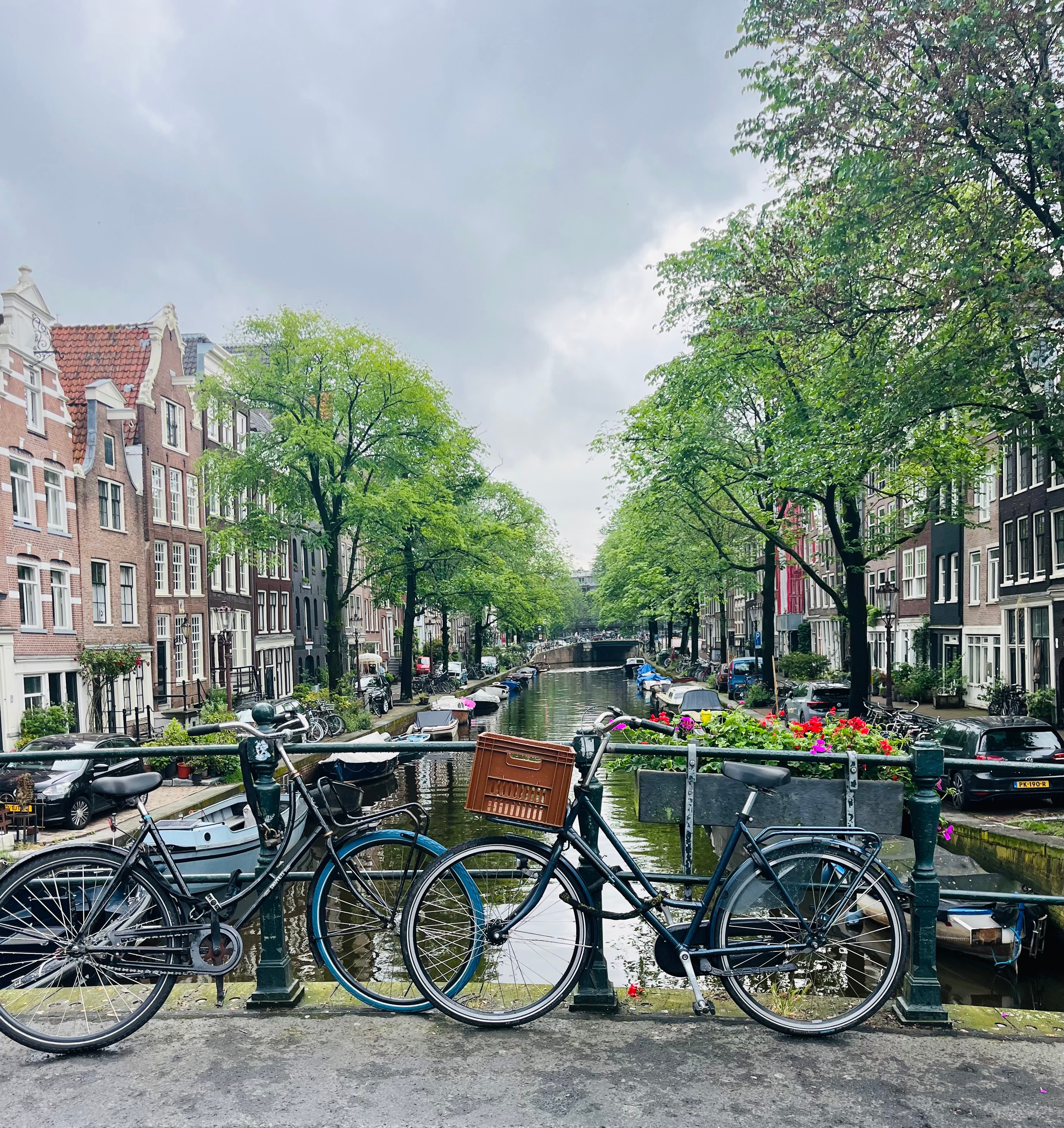 View of a tree-lined canal in Amsterdam with bikes chained to a bridge railing on a cloudy day