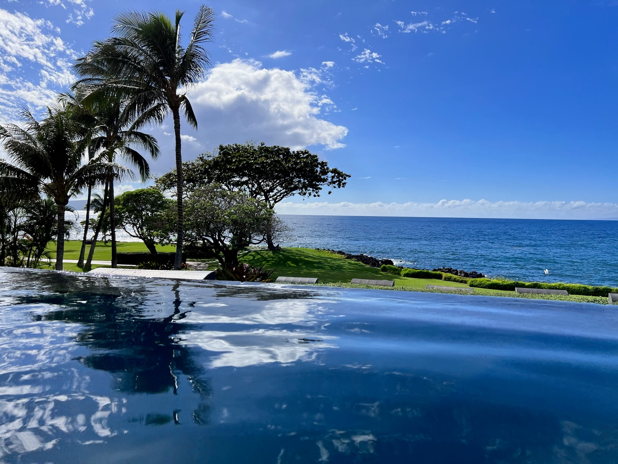 Photo of an island with palm trees, surrounded by water during the daytime.